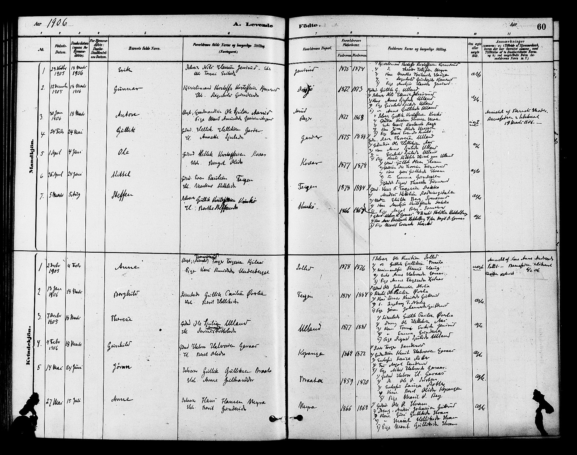 Flesberg kirkebøker, AV/SAKO-A-18/F/Fb/L0001: Parish register (official) no. II 1, 1879-1907, p. 60