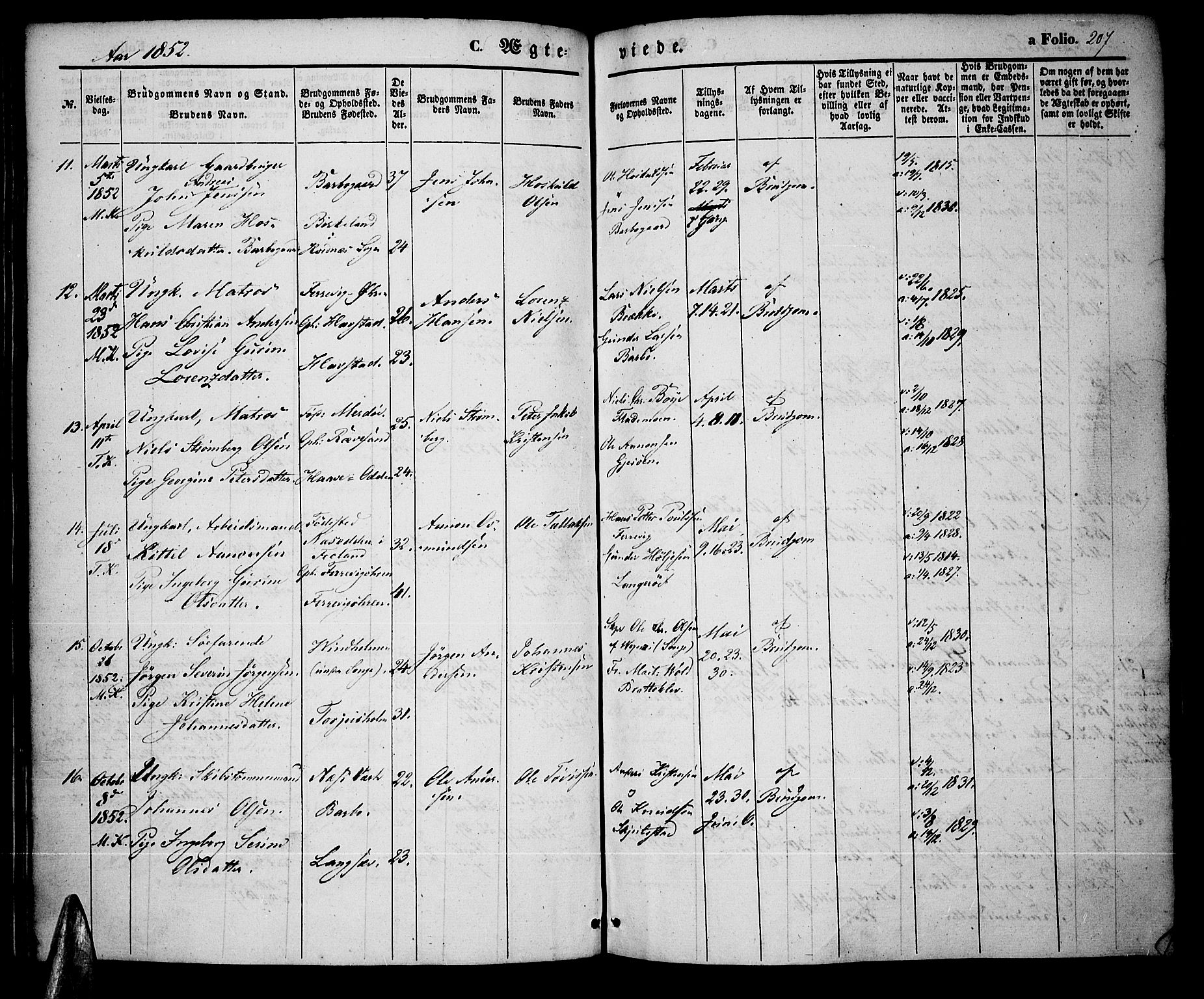 Tromøy sokneprestkontor, SAK/1111-0041/F/Fa/L0005: Parish register (official) no. A 5, 1847-1856, p. 207