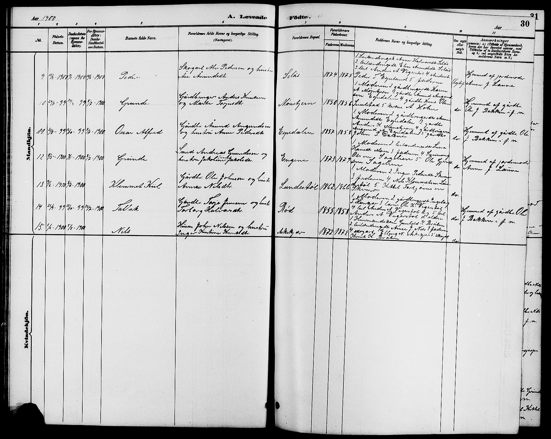 Gjerstad sokneprestkontor, AV/SAK-1111-0014/F/Fb/Fbb/L0004: Parish register (copy) no. B 4, 1890-1910, p. 30