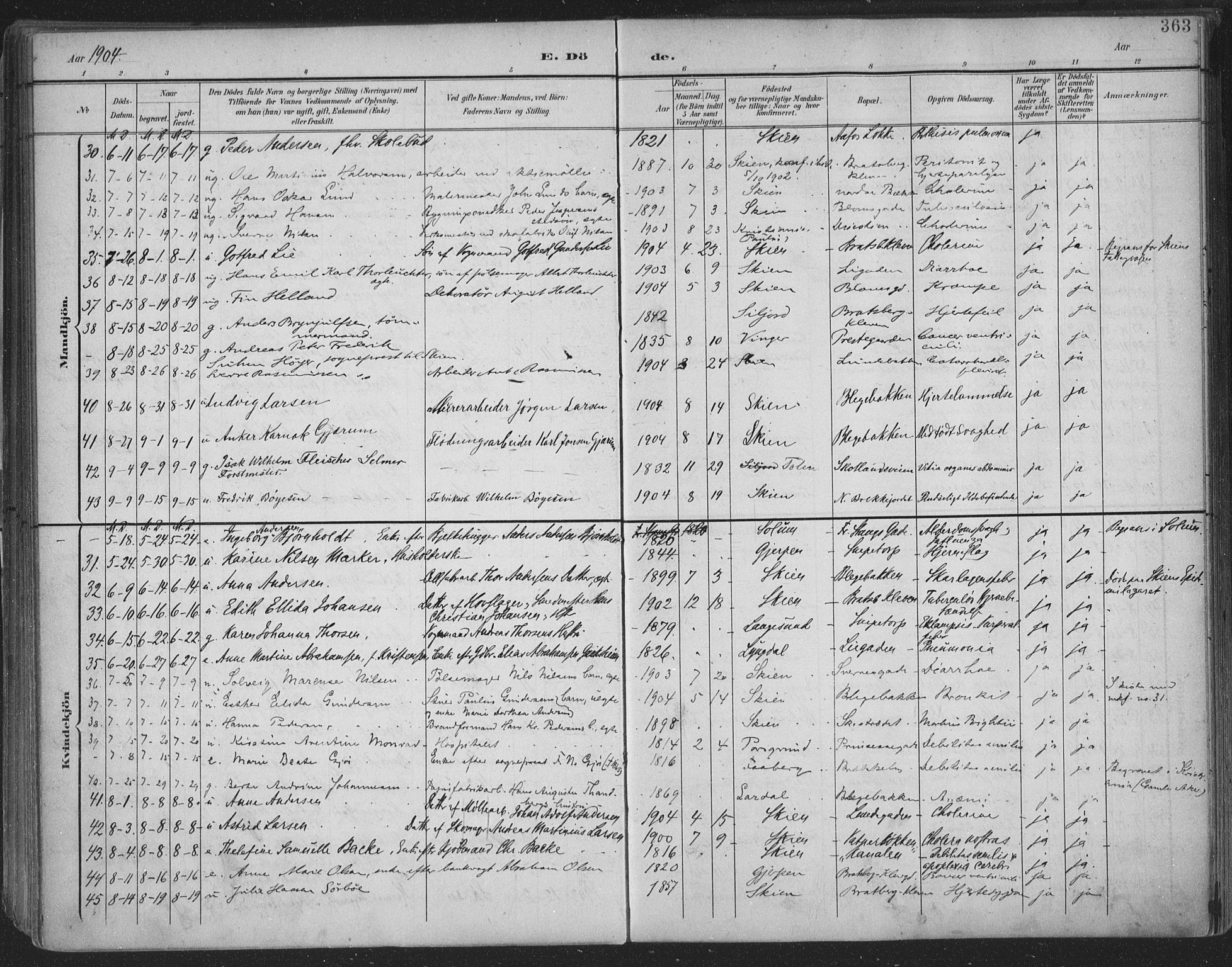 Skien kirkebøker, SAKO/A-302/F/Fa/L0011: Parish register (official) no. 11, 1900-1907, p. 363