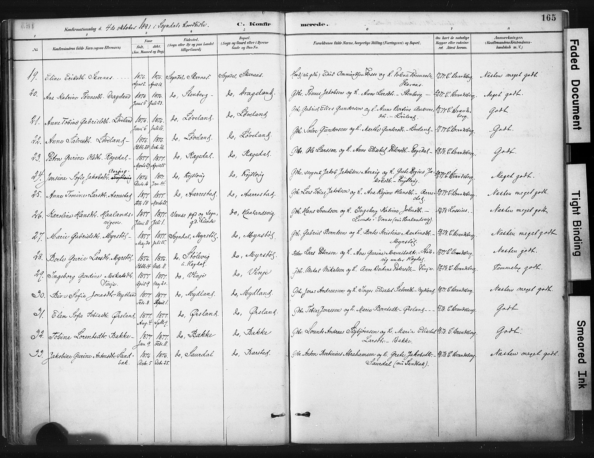 Sokndal sokneprestkontor, AV/SAST-A-101808: Parish register (official) no. A 11.1, 1887-1905, p. 165