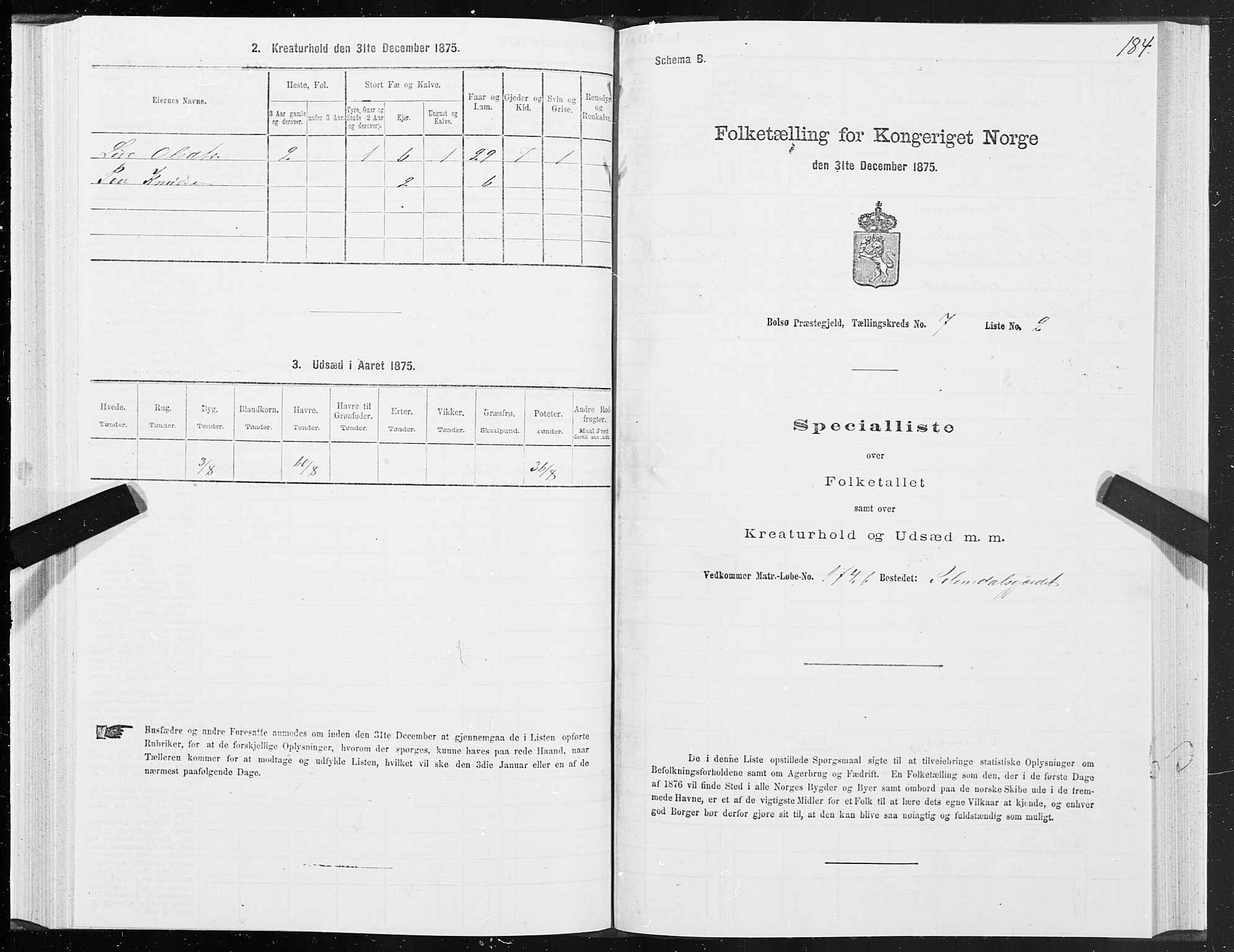 SAT, 1875 census for 1544P Bolsøy, 1875, p. 4184