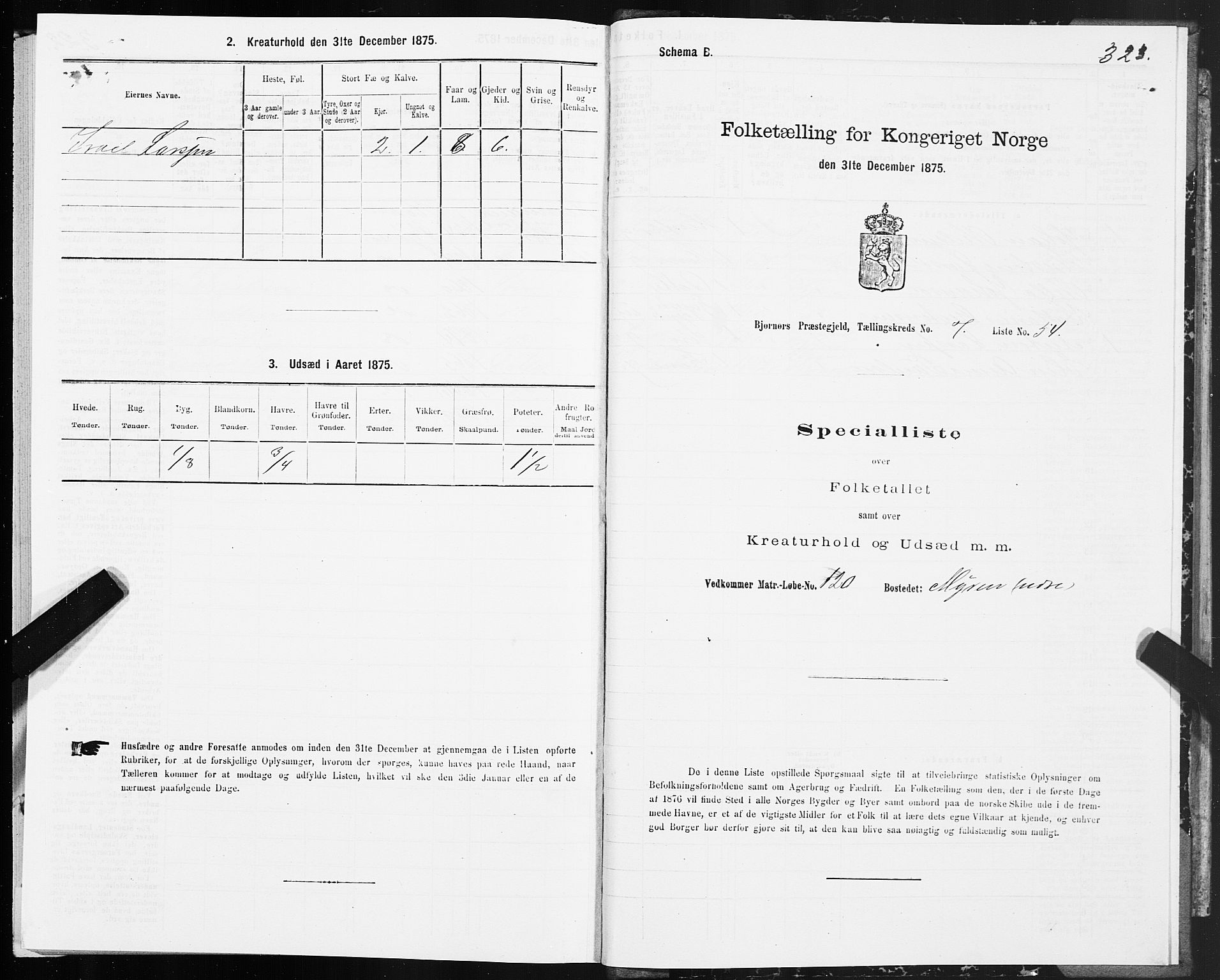 SAT, 1875 census for 1632P Bjørnør, 1875, p. 3323
