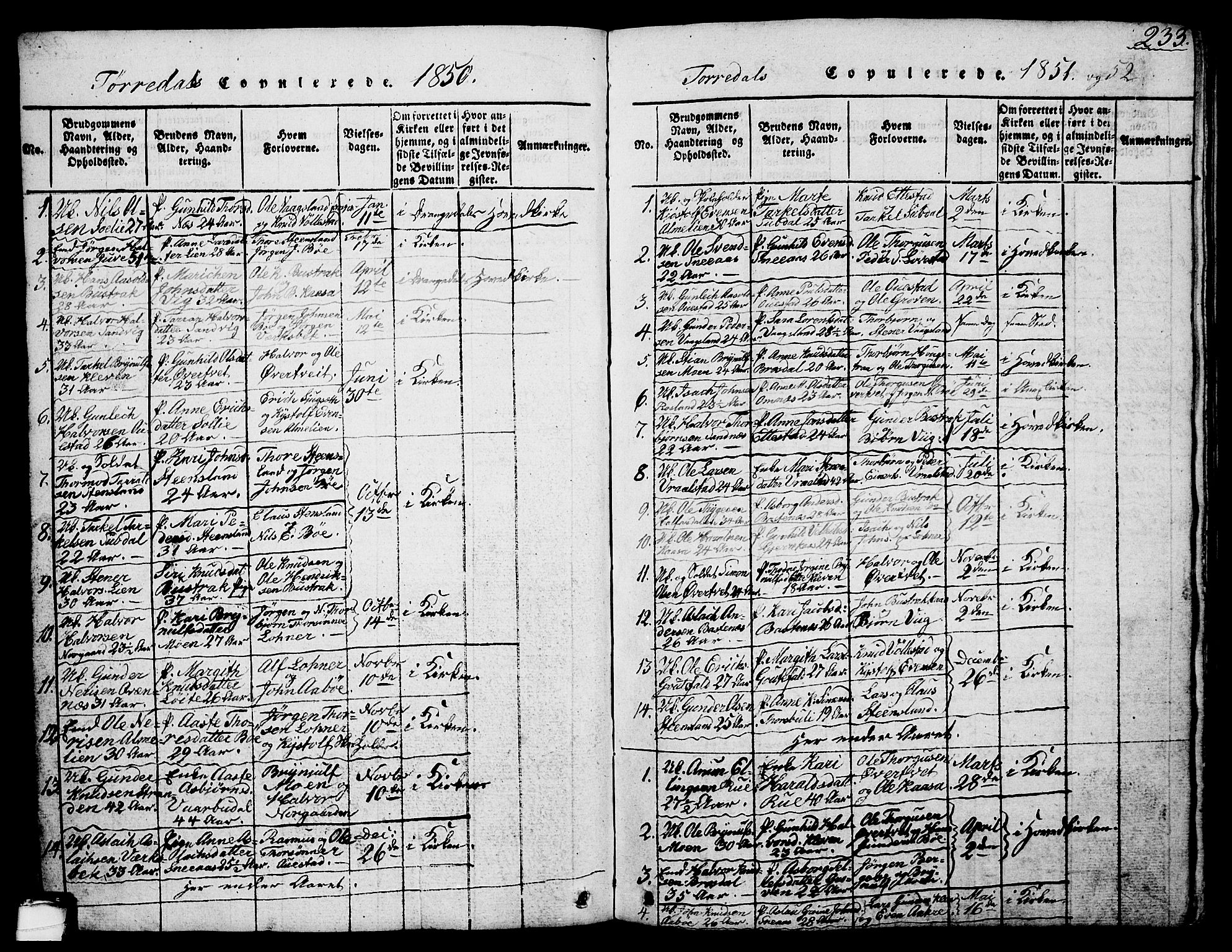 Drangedal kirkebøker, AV/SAKO-A-258/G/Ga/L0001: Parish register (copy) no. I 1 /2, 1814-1856, p. 233