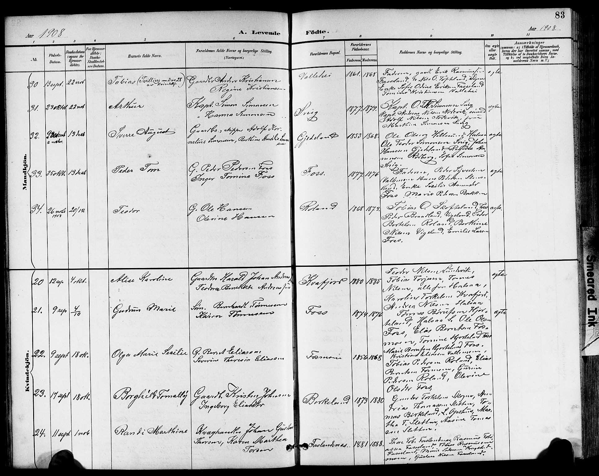 Sør-Audnedal sokneprestkontor, AV/SAK-1111-0039/F/Fb/Fbb/L0006: Parish register (copy) no. B 6, 1893-1915, p. 83