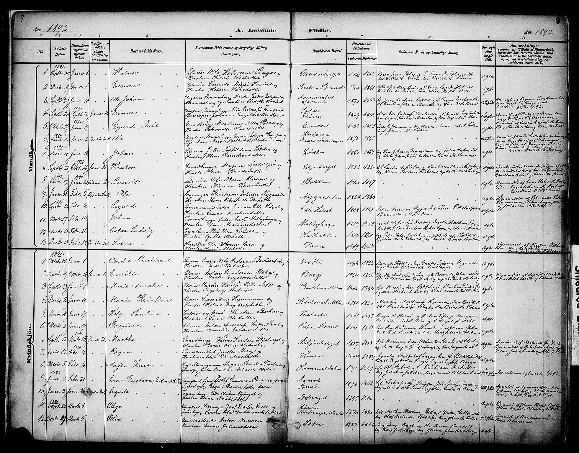 Elverum prestekontor, AV/SAH-PREST-044/H/Ha/Haa/L0014: Parish register (official) no. 14, 1891-1909, p. 9