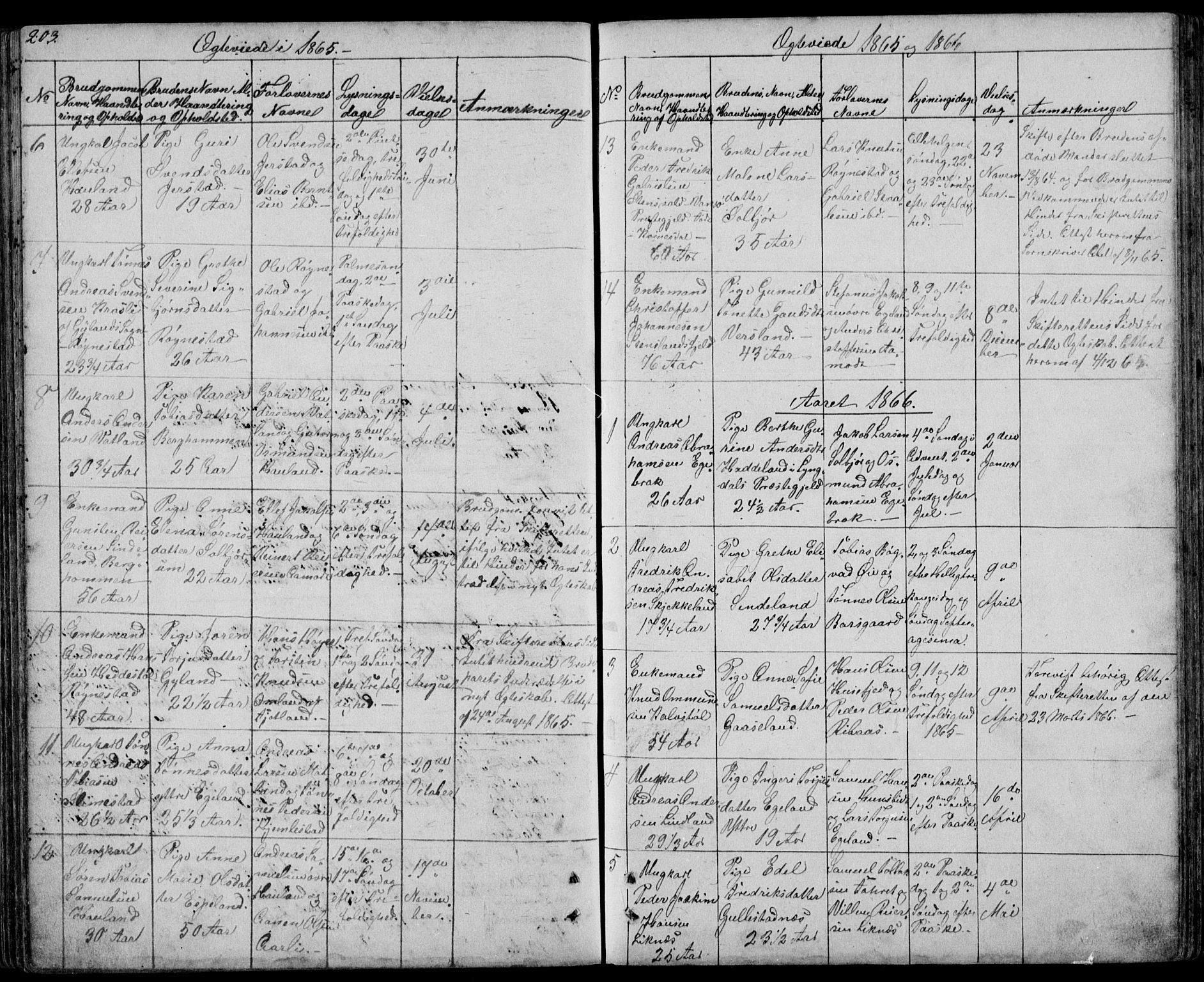 Kvinesdal sokneprestkontor, SAK/1111-0026/F/Fb/Fbb/L0001: Parish register (copy) no. B 1, 1852-1872, p. 203