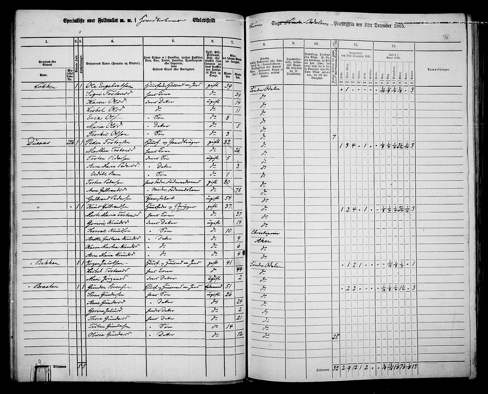 RA, 1865 census for Sør-Odal, 1865, p. 66