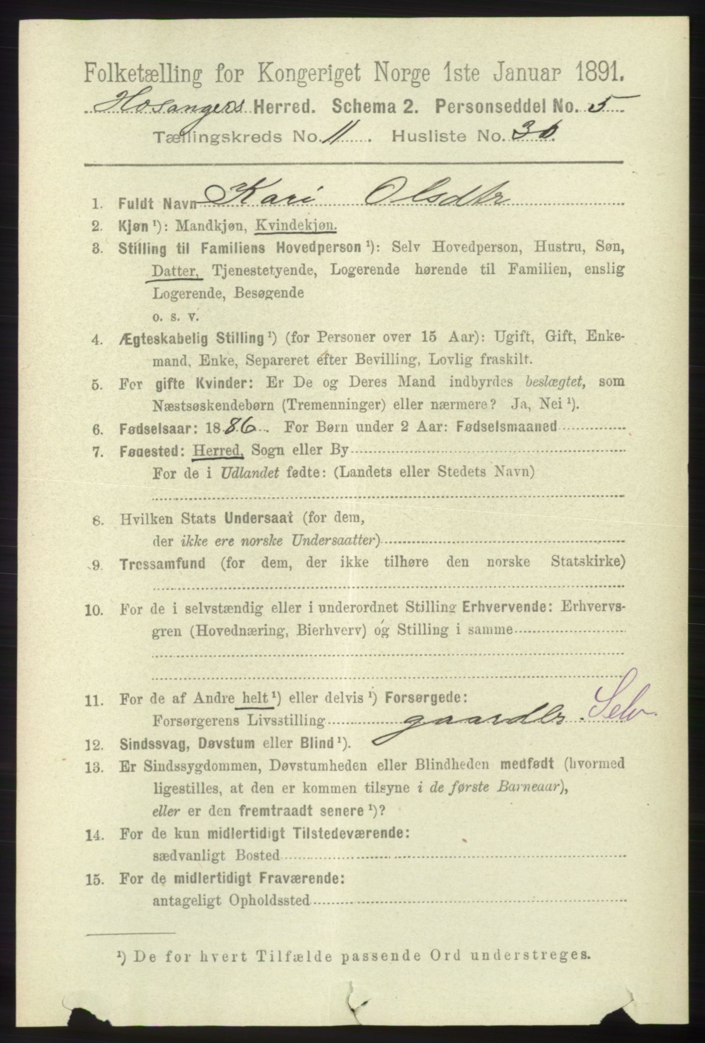 RA, 1891 census for 1253 Hosanger, 1891, p. 3954