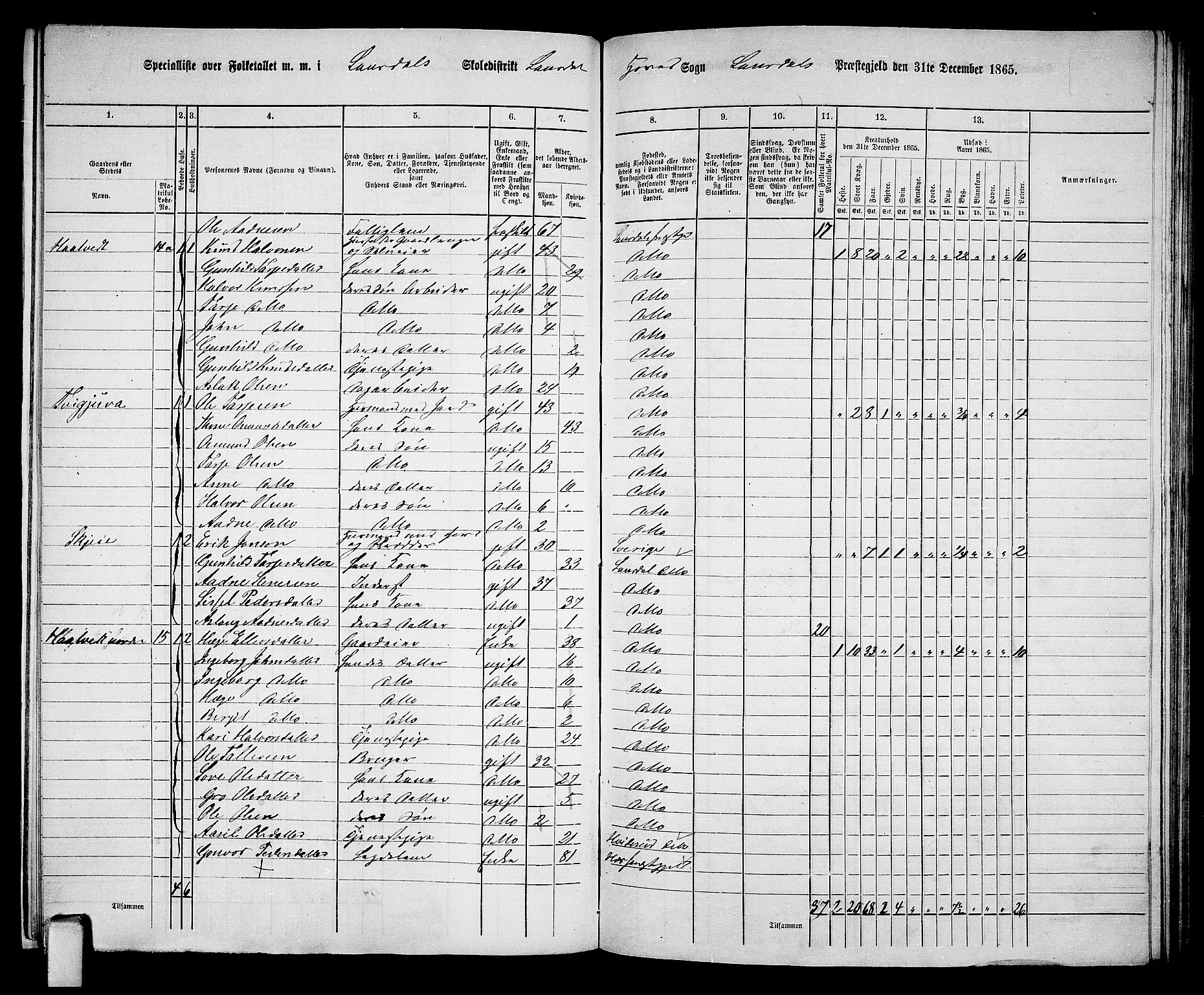 RA, 1865 census for Lårdal, 1865, p. 14