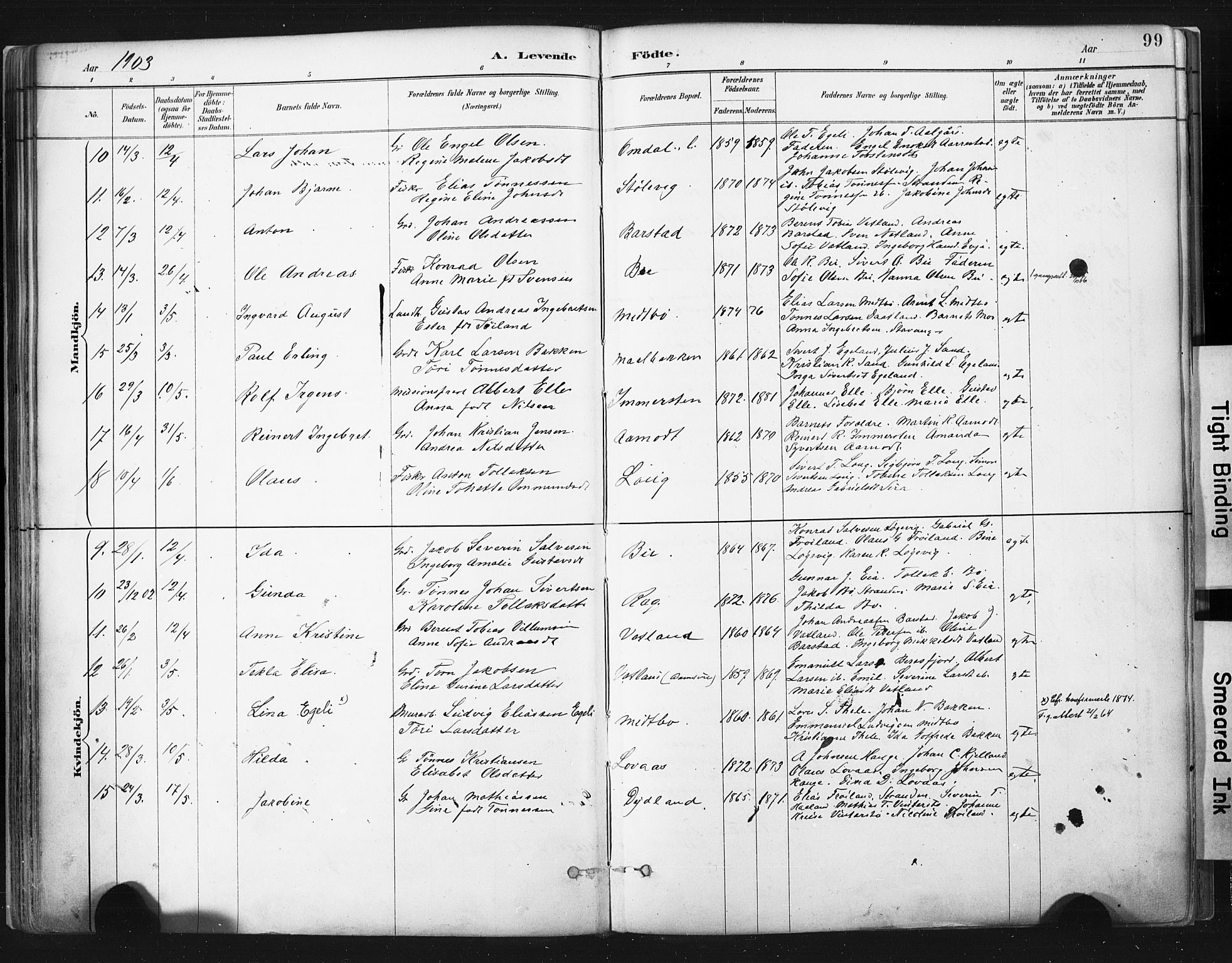 Sokndal sokneprestkontor, AV/SAST-A-101808: Parish register (official) no. A 11.1, 1887-1905, p. 99