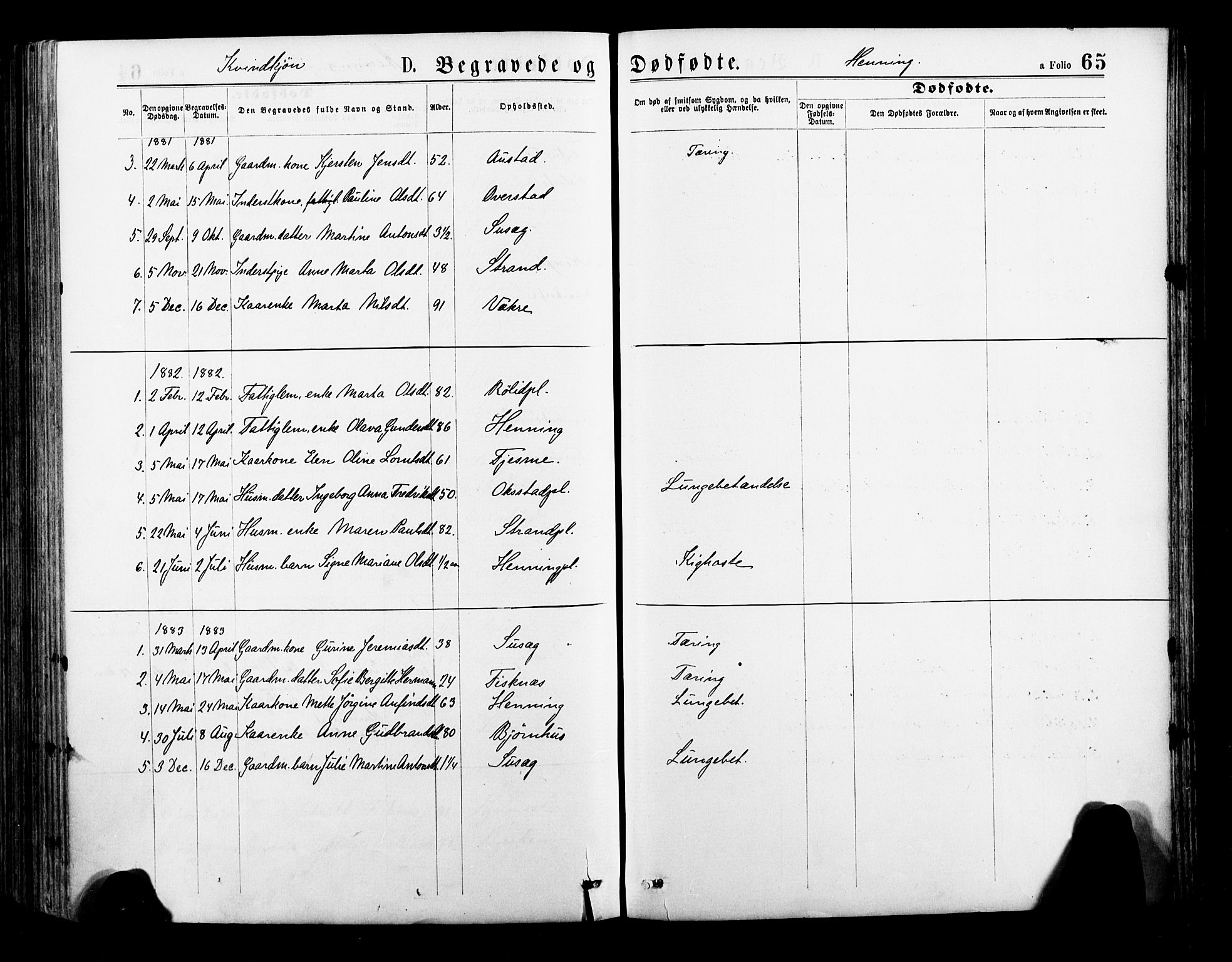 Ministerialprotokoller, klokkerbøker og fødselsregistre - Nord-Trøndelag, AV/SAT-A-1458/735/L0348: Parish register (official) no. 735A09 /3, 1873-1883, p. 65