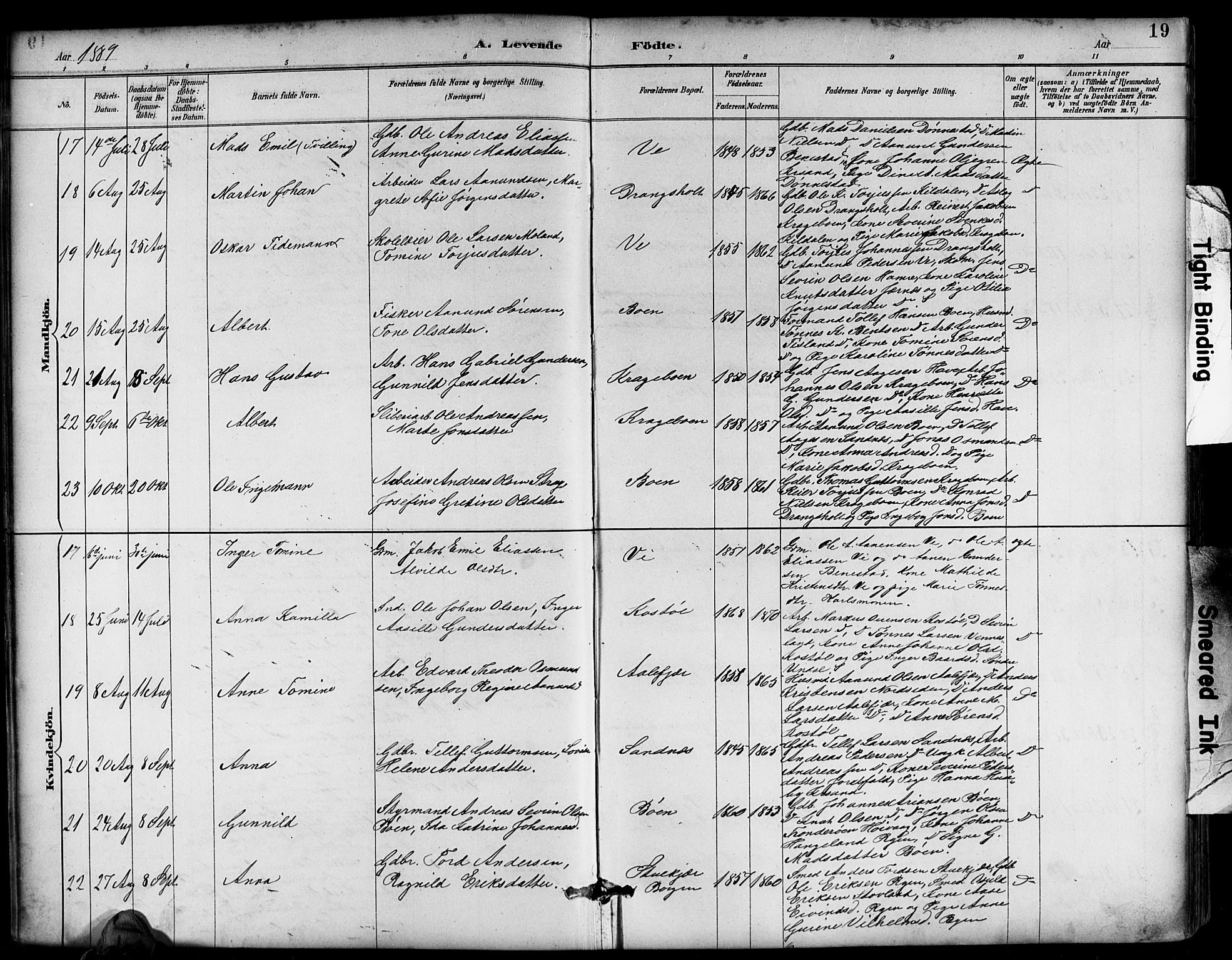 Tveit sokneprestkontor, SAK/1111-0043/F/Fb/L0004: Parish register (copy) no. B 4, 1887-1914, p. 19