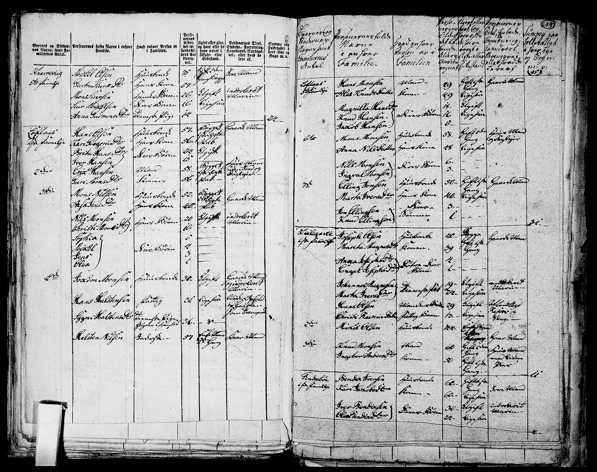 RA, 1801 census for 1263P Lindås, 1801, p. 608b-609a