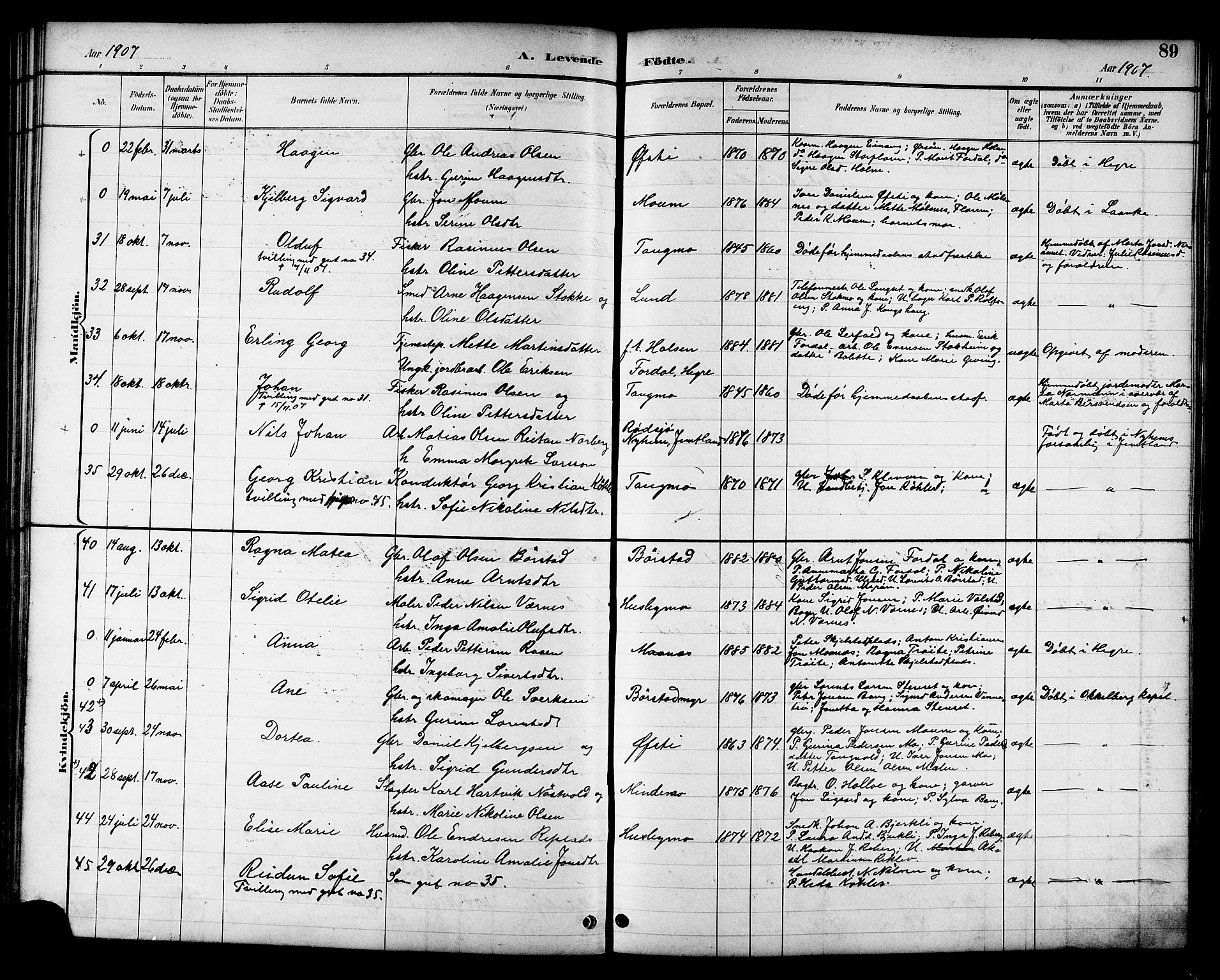 Ministerialprotokoller, klokkerbøker og fødselsregistre - Nord-Trøndelag, AV/SAT-A-1458/709/L0087: Parish register (copy) no. 709C01, 1892-1913, p. 89