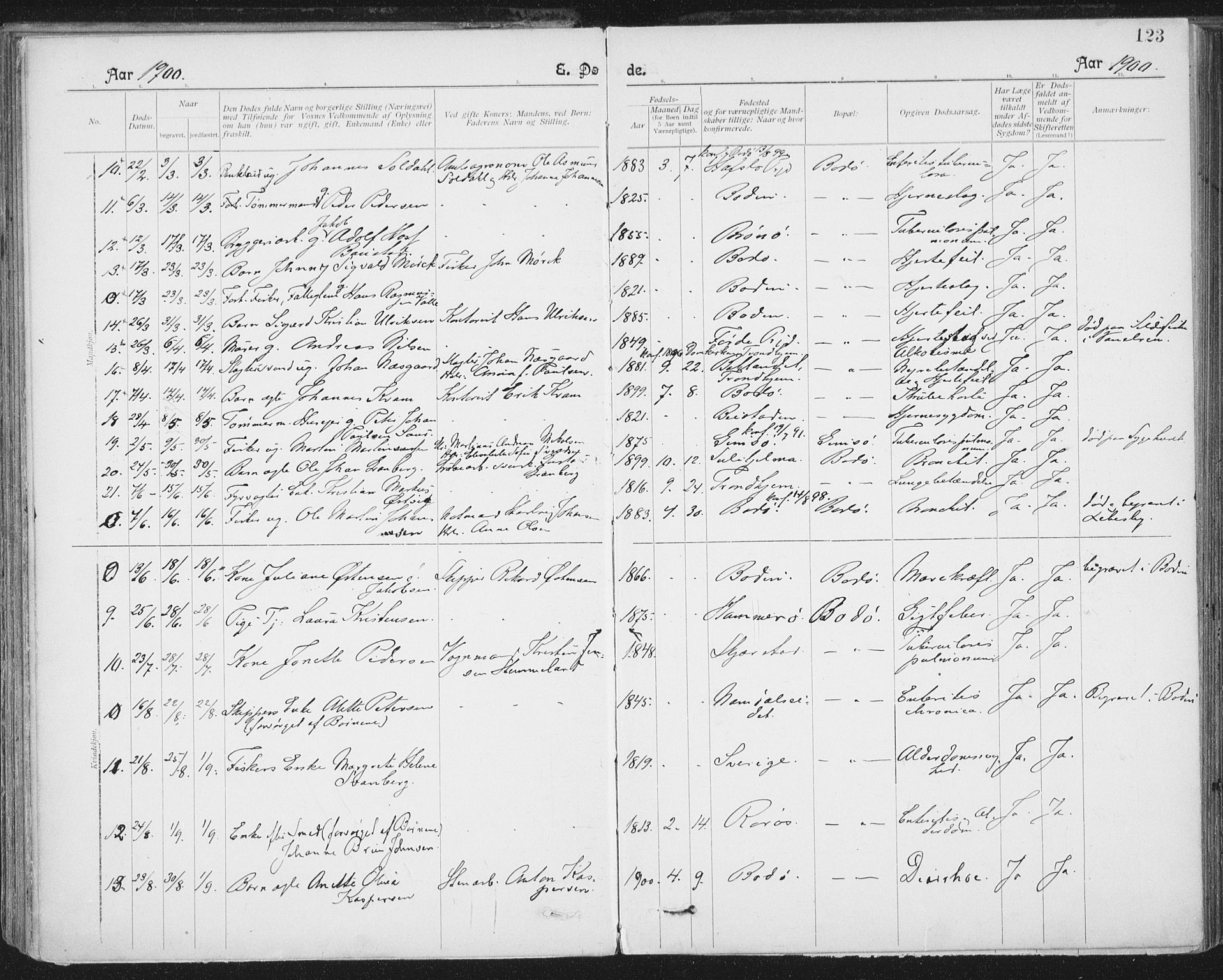 Ministerialprotokoller, klokkerbøker og fødselsregistre - Nordland, AV/SAT-A-1459/801/L0012: Parish register (official) no. 801A12, 1900-1916, p. 123