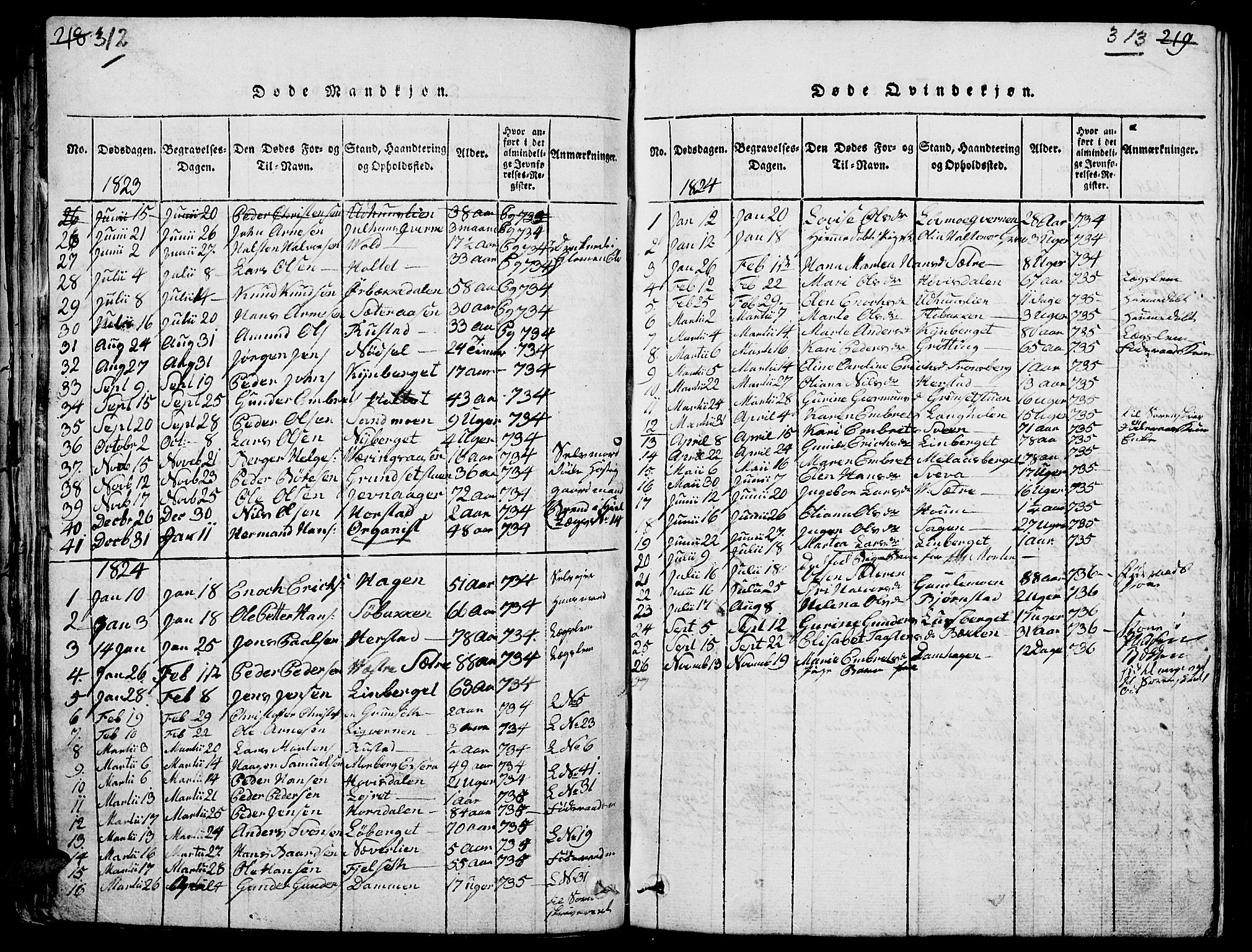 Elverum prestekontor, SAH/PREST-044/H/Ha/Hab/L0001: Parish register (copy) no. 1, 1815-1829, p. 312-313