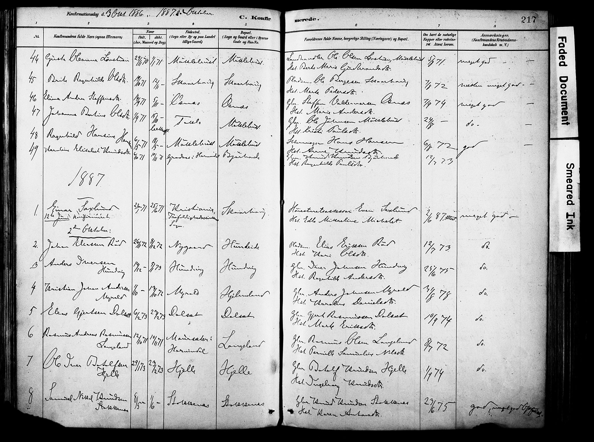 Eid sokneprestembete, SAB/A-82301/H/Haa/Haab/L0001: Parish register (official) no. B 1, 1879-1906, p. 217