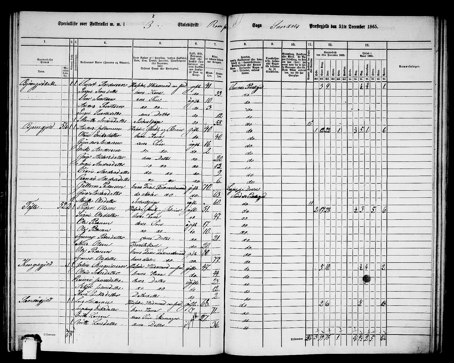 RA, 1865 census for Sunndal, 1865, p. 50