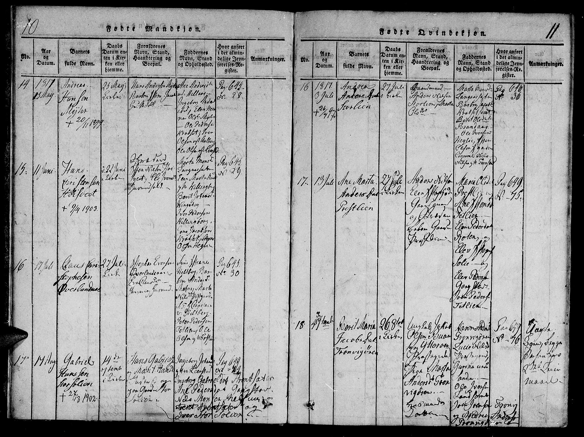 Ministerialprotokoller, klokkerbøker og fødselsregistre - Nord-Trøndelag, SAT/A-1458/701/L0005: Parish register (official) no. 701A05 /1, 1816-1825, p. 10-11