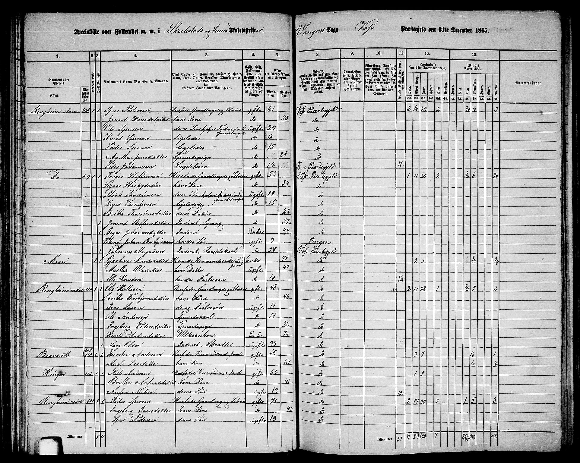 RA, 1865 census for Voss, 1865, p. 67