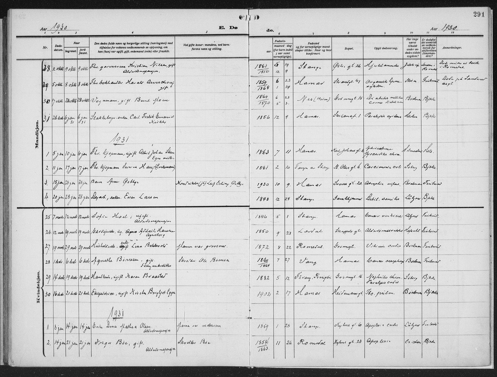 Hamar prestekontor, SAH/DOMPH-002/H/Ha/Haa/L0002: Parish register (official) no. 2, 1915-1936, p. 291