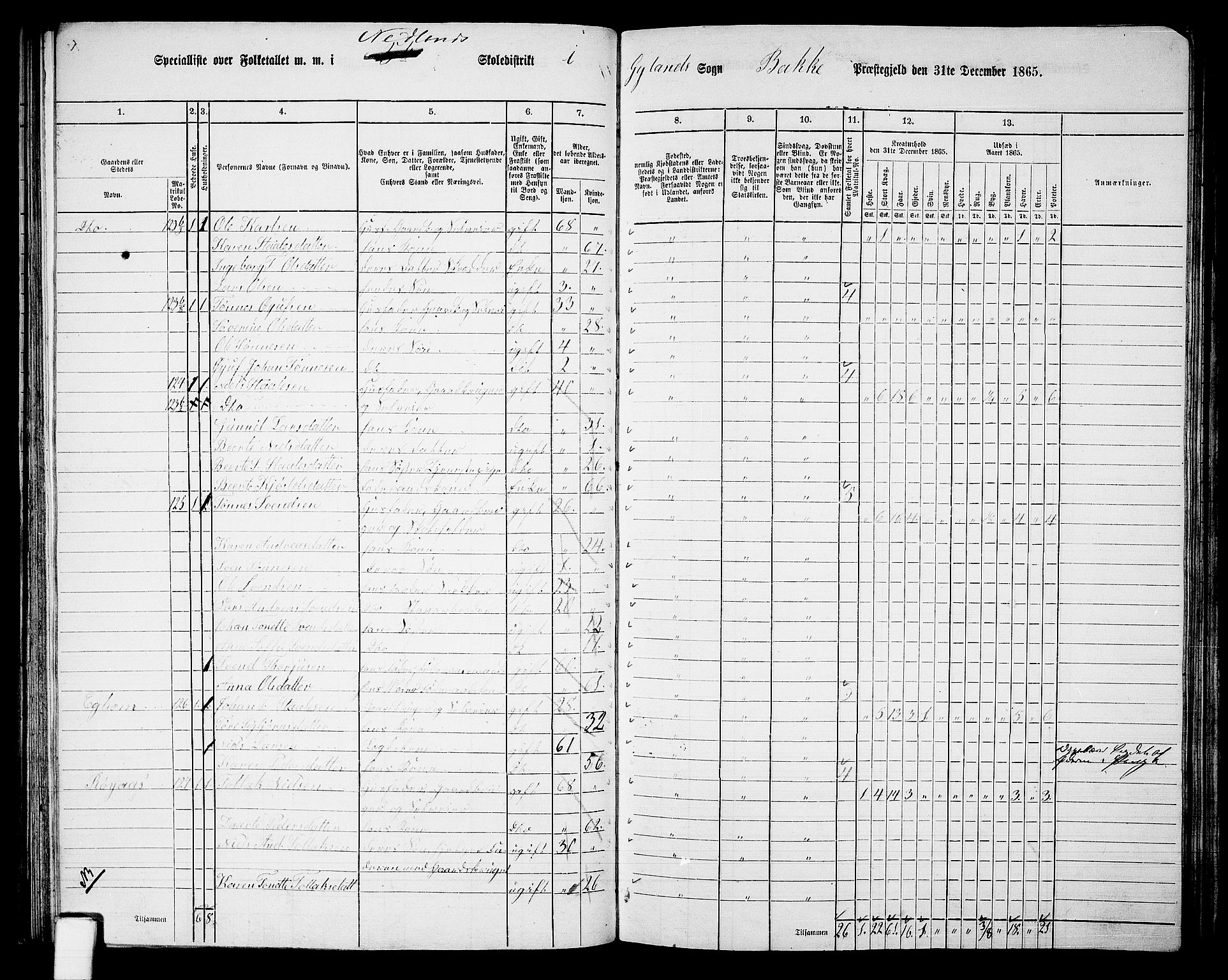 RA, 1865 census for Bakke, 1865, p. 52