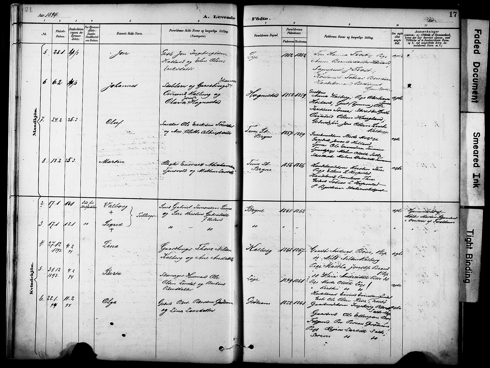 Lye sokneprestkontor, AV/SAST-A-101794/001/30BA/L0011: Parish register (official) no. A 9, 1893-1903, p. 17