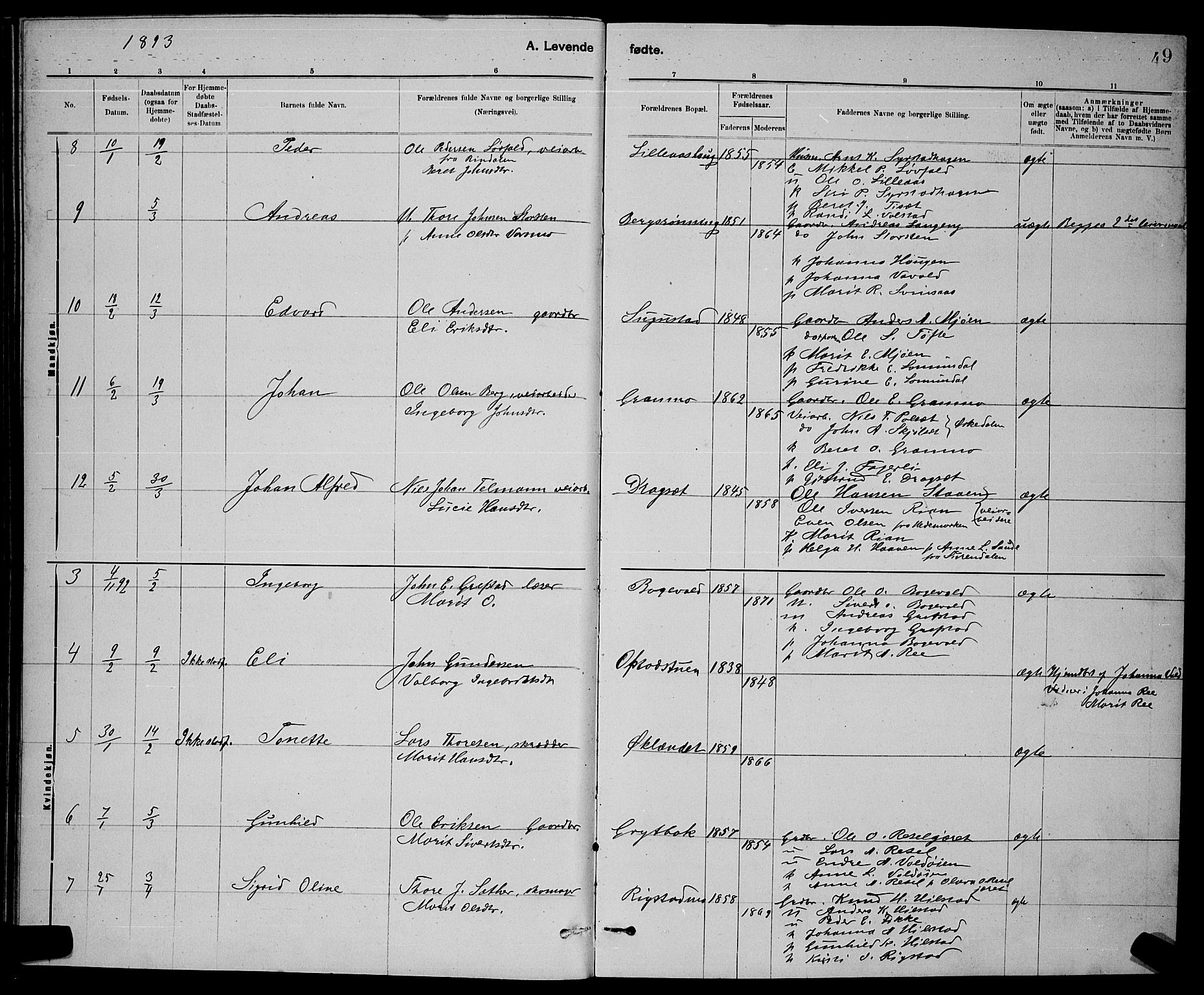 Ministerialprotokoller, klokkerbøker og fødselsregistre - Sør-Trøndelag, AV/SAT-A-1456/672/L0863: Parish register (copy) no. 672C02, 1888-1901, p. 49