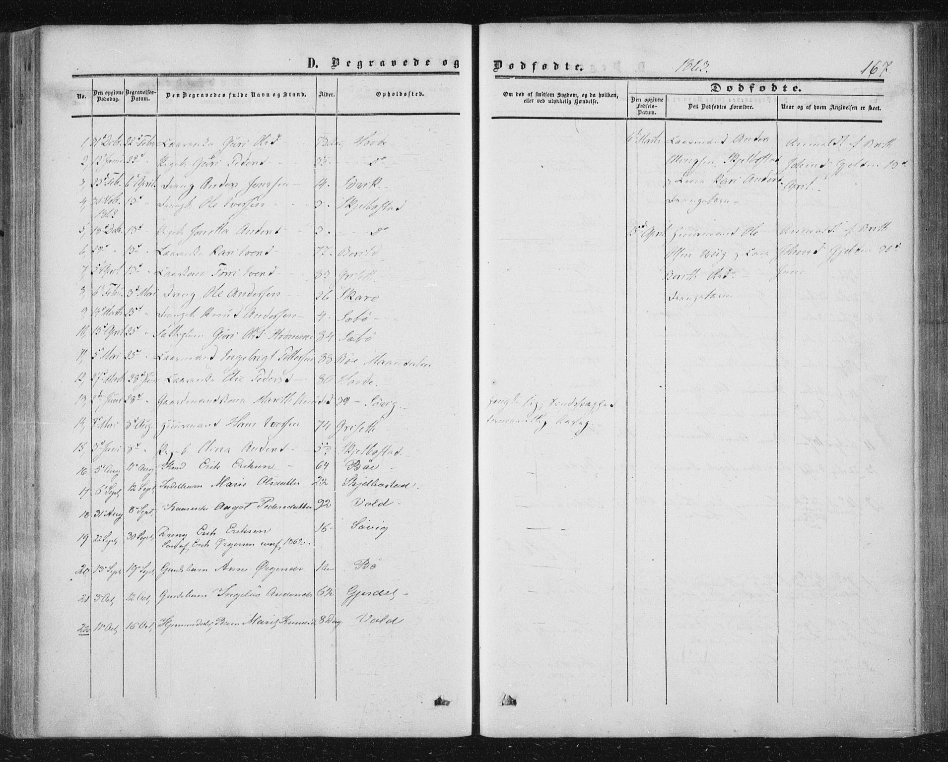 Ministerialprotokoller, klokkerbøker og fødselsregistre - Møre og Romsdal, AV/SAT-A-1454/543/L0562: Parish register (official) no. 543A02, 1854-1884, p. 167