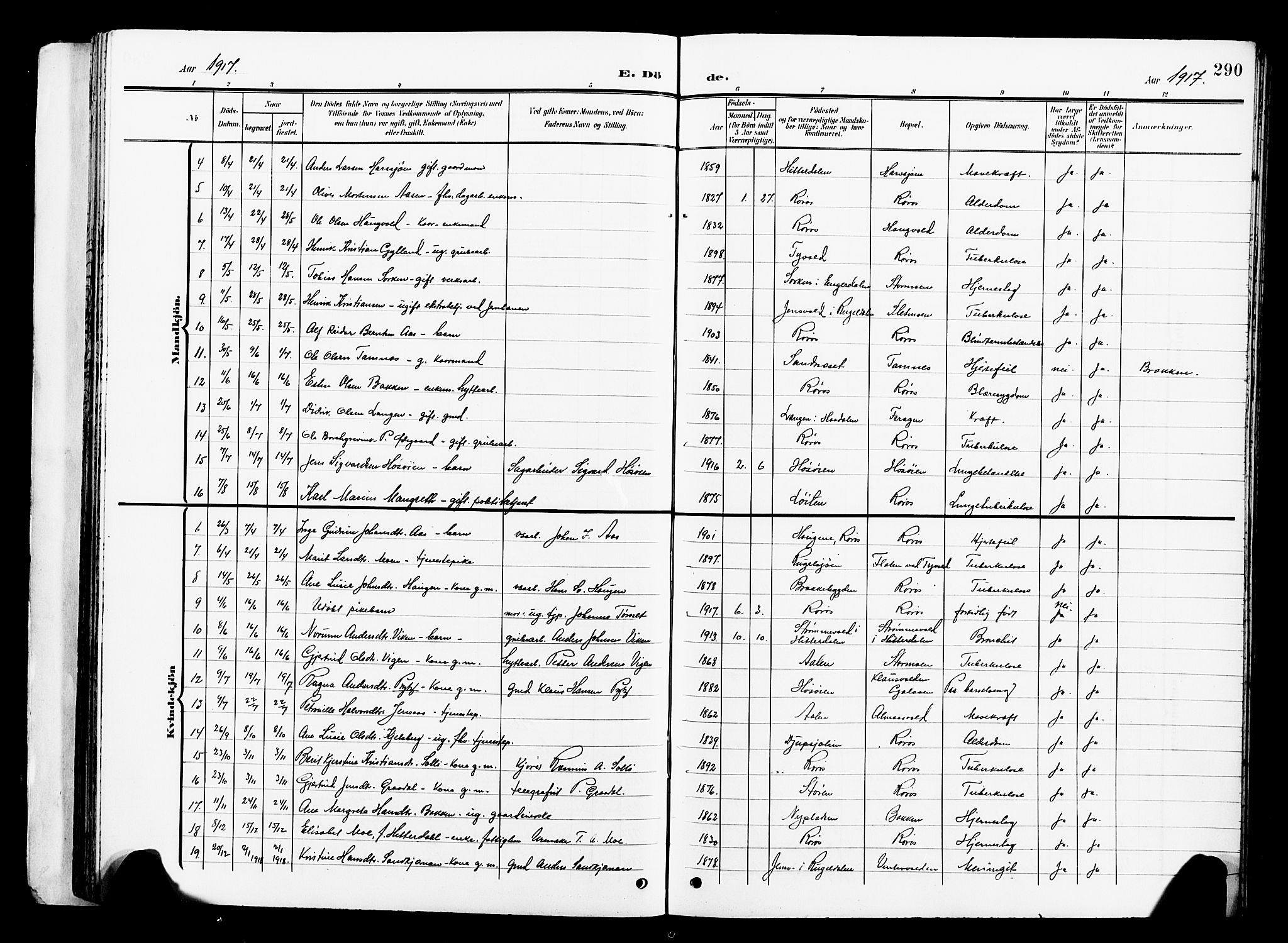 Ministerialprotokoller, klokkerbøker og fødselsregistre - Sør-Trøndelag, SAT/A-1456/681/L0942: Parish register (copy) no. 681C06, 1906-1925, p. 290