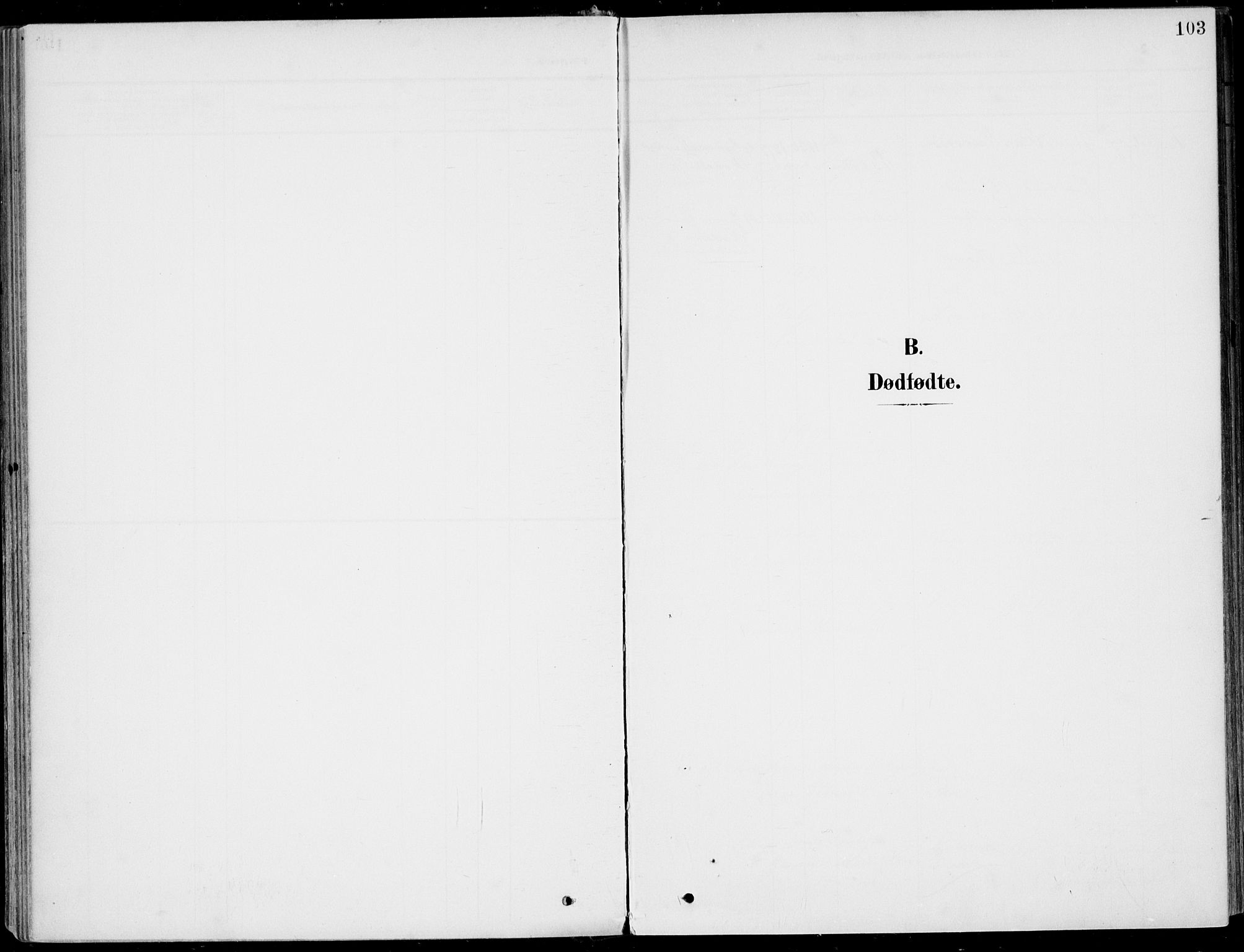 Sigdal kirkebøker, SAKO/A-245/F/Fb/L0002: Parish register (official) no. II 2, 1901-1914, p. 103