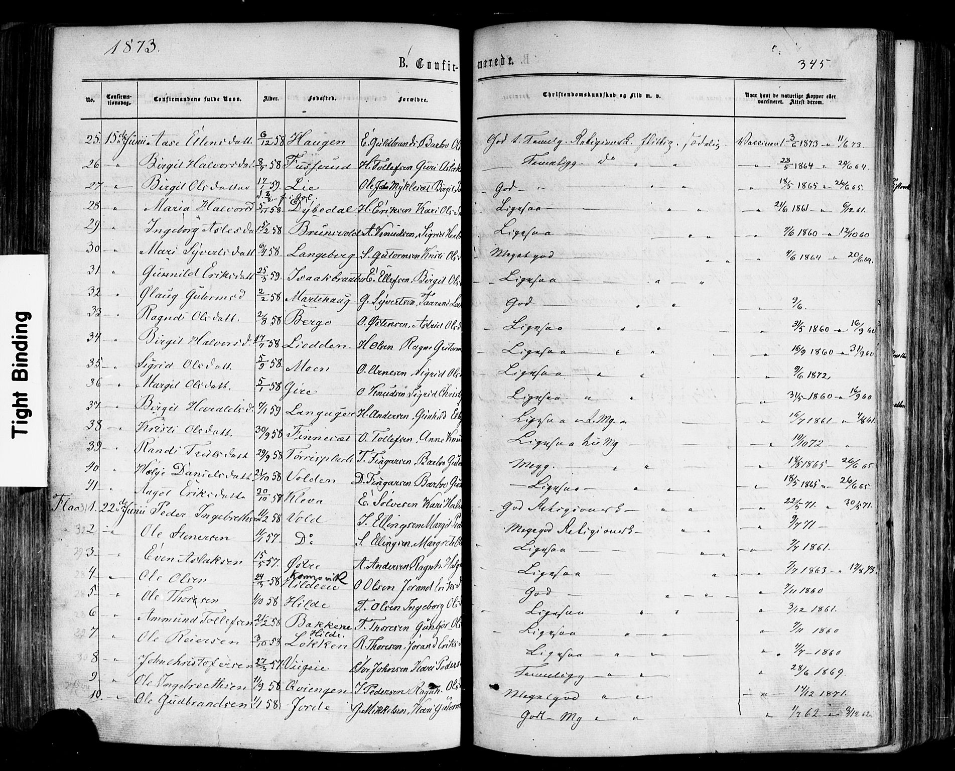 Nes kirkebøker, AV/SAKO-A-236/F/Fa/L0010: Parish register (official) no. 10, 1864-1880, p. 345