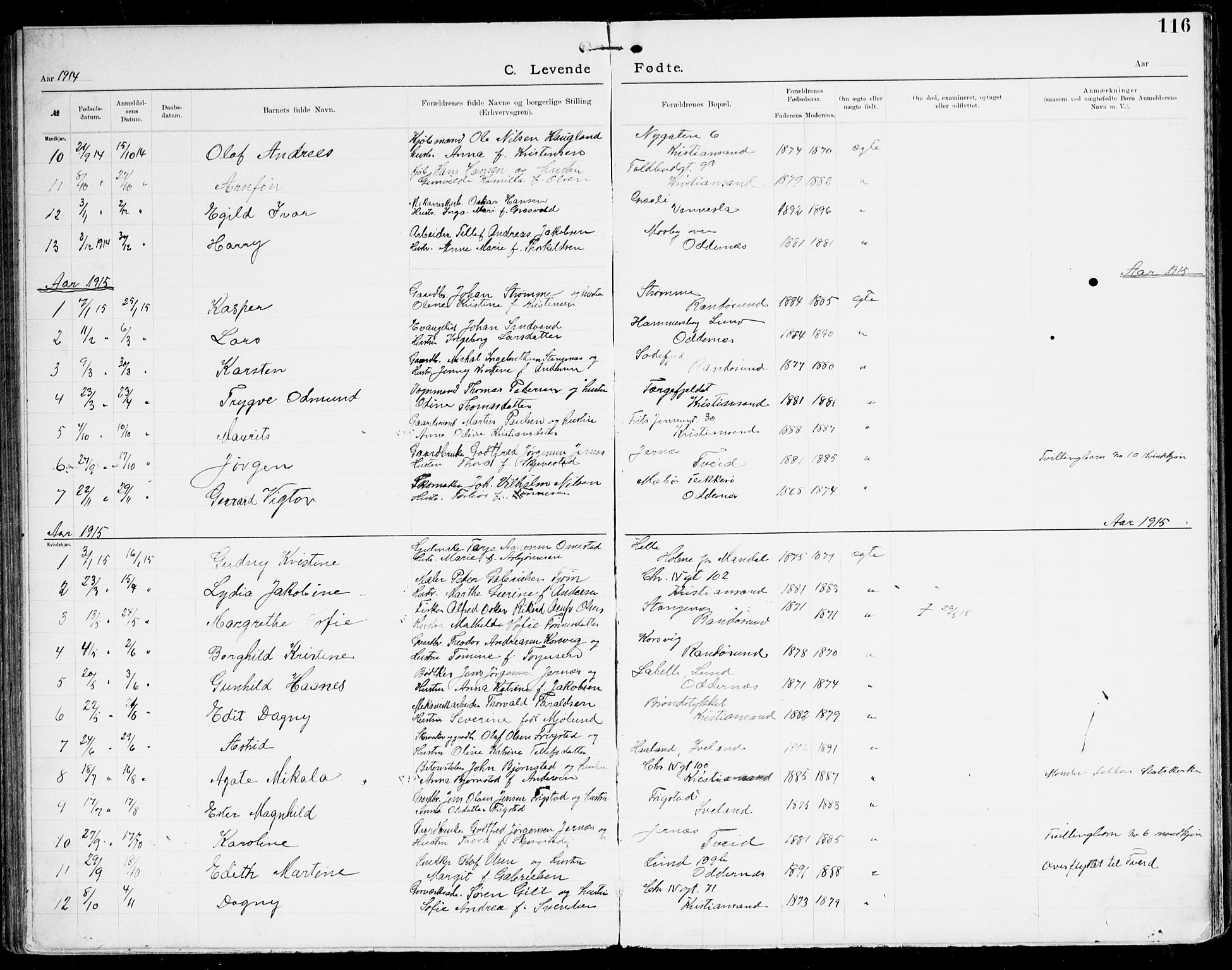 Den evangelisk-lutherske frikirke, Kristiansand, AV/SAK-1292-0017/F/Fa/L0003: Dissenter register no. F 11, 1892-1925, p. 116