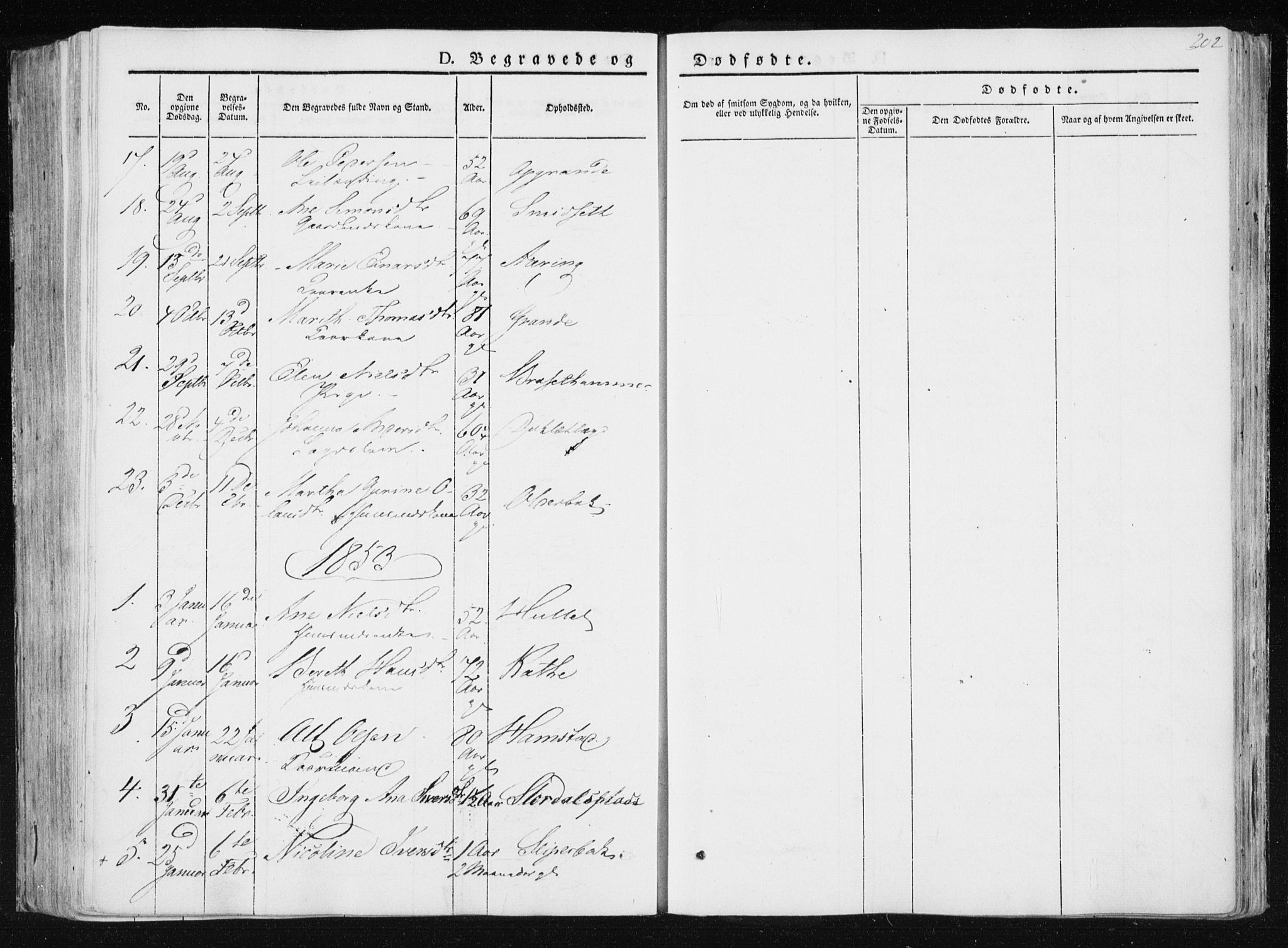 Ministerialprotokoller, klokkerbøker og fødselsregistre - Nord-Trøndelag, SAT/A-1458/733/L0323: Parish register (official) no. 733A02, 1843-1870, p. 202