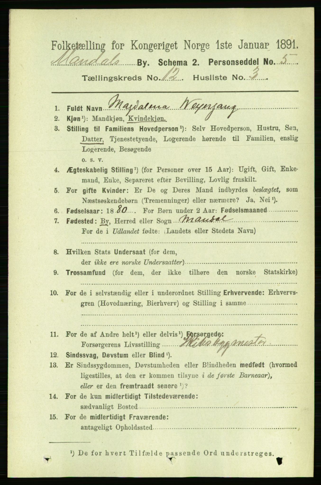 RA, 1891 census for 1002 Mandal, 1891, p. 2906