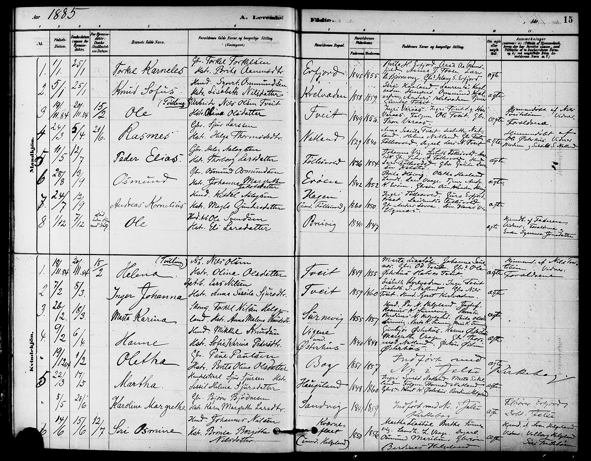 Jelsa sokneprestkontor, AV/SAST-A-101842/01/IV: Parish register (official) no. A 9, 1878-1898, p. 15