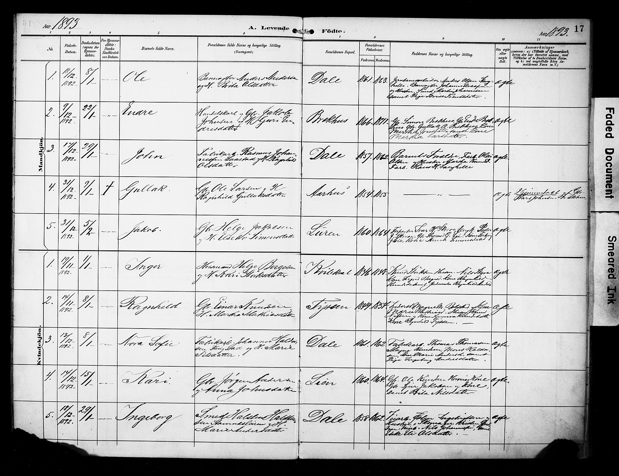 Evanger sokneprestembete, SAB/A-99924: Parish register (official) no. A 2, 1892-1899, p. 17
