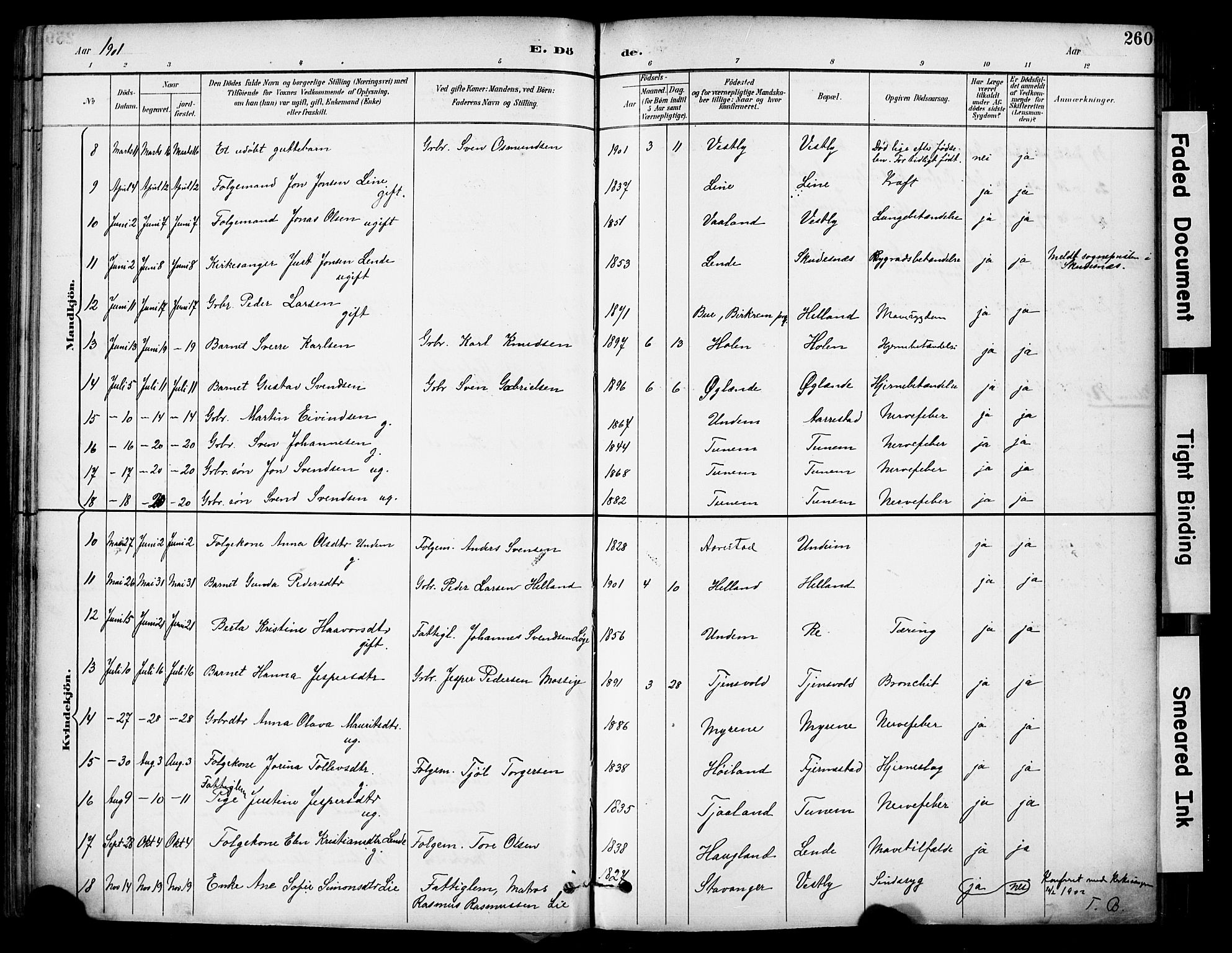 Lye sokneprestkontor, AV/SAST-A-101794/001/30BA/L0011: Parish register (official) no. A 9, 1893-1903, p. 260