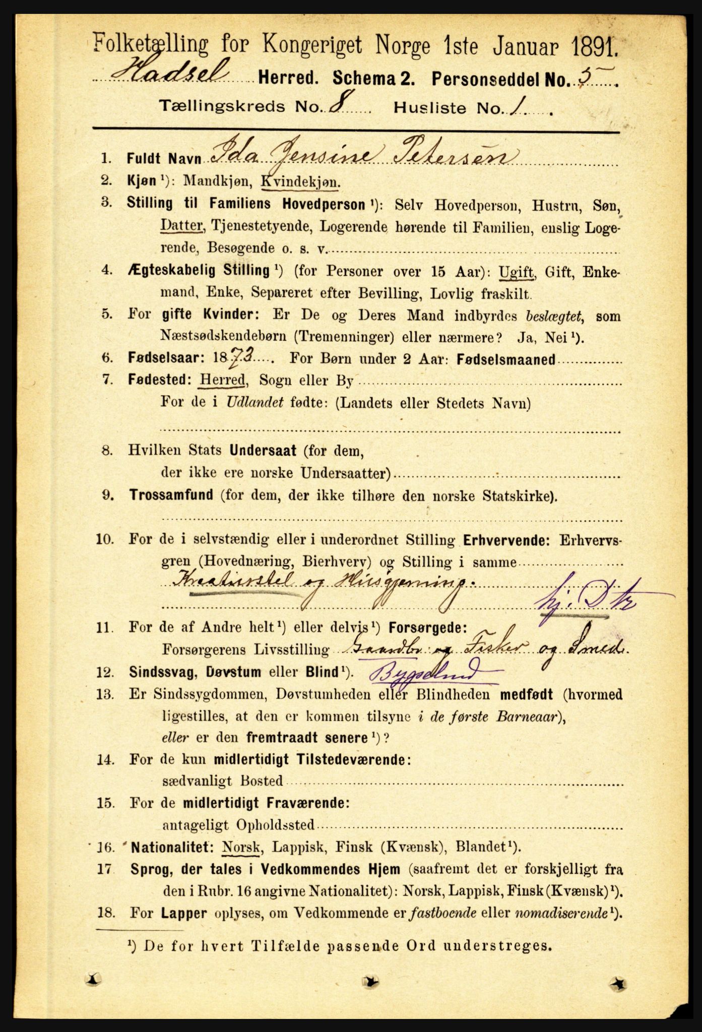 RA, 1891 census for 1866 Hadsel, 1891, p. 3581