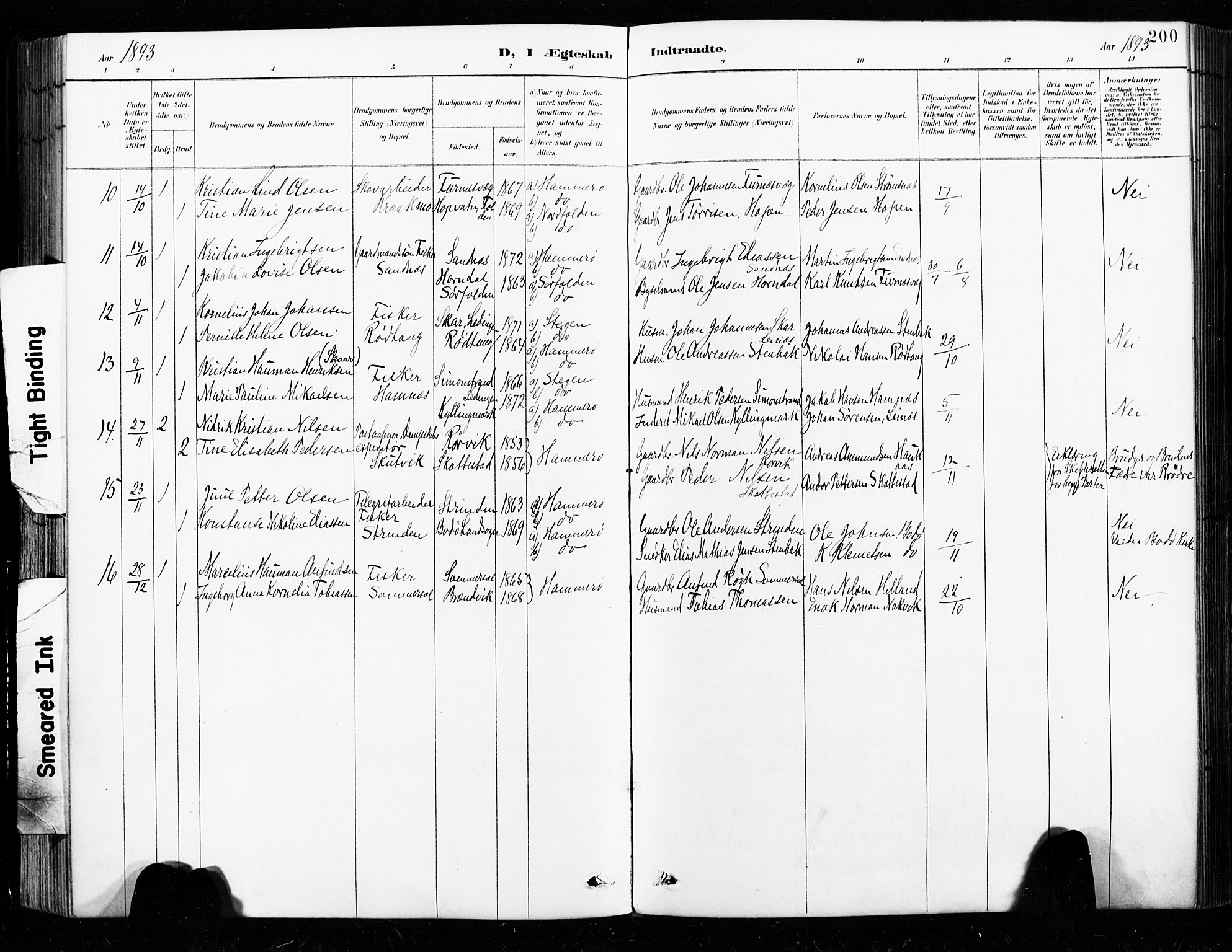 Ministerialprotokoller, klokkerbøker og fødselsregistre - Nordland, AV/SAT-A-1459/859/L0847: Parish register (official) no. 859A07, 1890-1899, p. 200