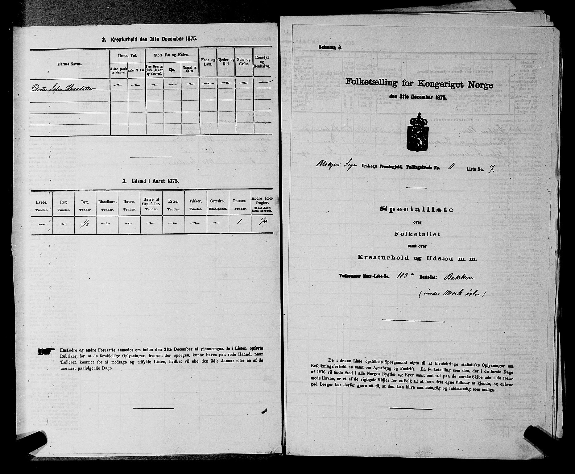 RA, 1875 census for 0224P Aurskog, 1875, p. 1069