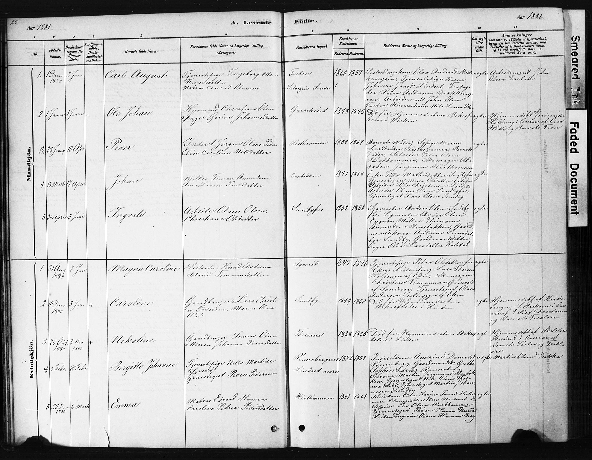 Hof kirkebøker, AV/SAKO-A-64/G/Ga/L0004: Parish register (copy) no. I 4, 1878-1930, p. 23