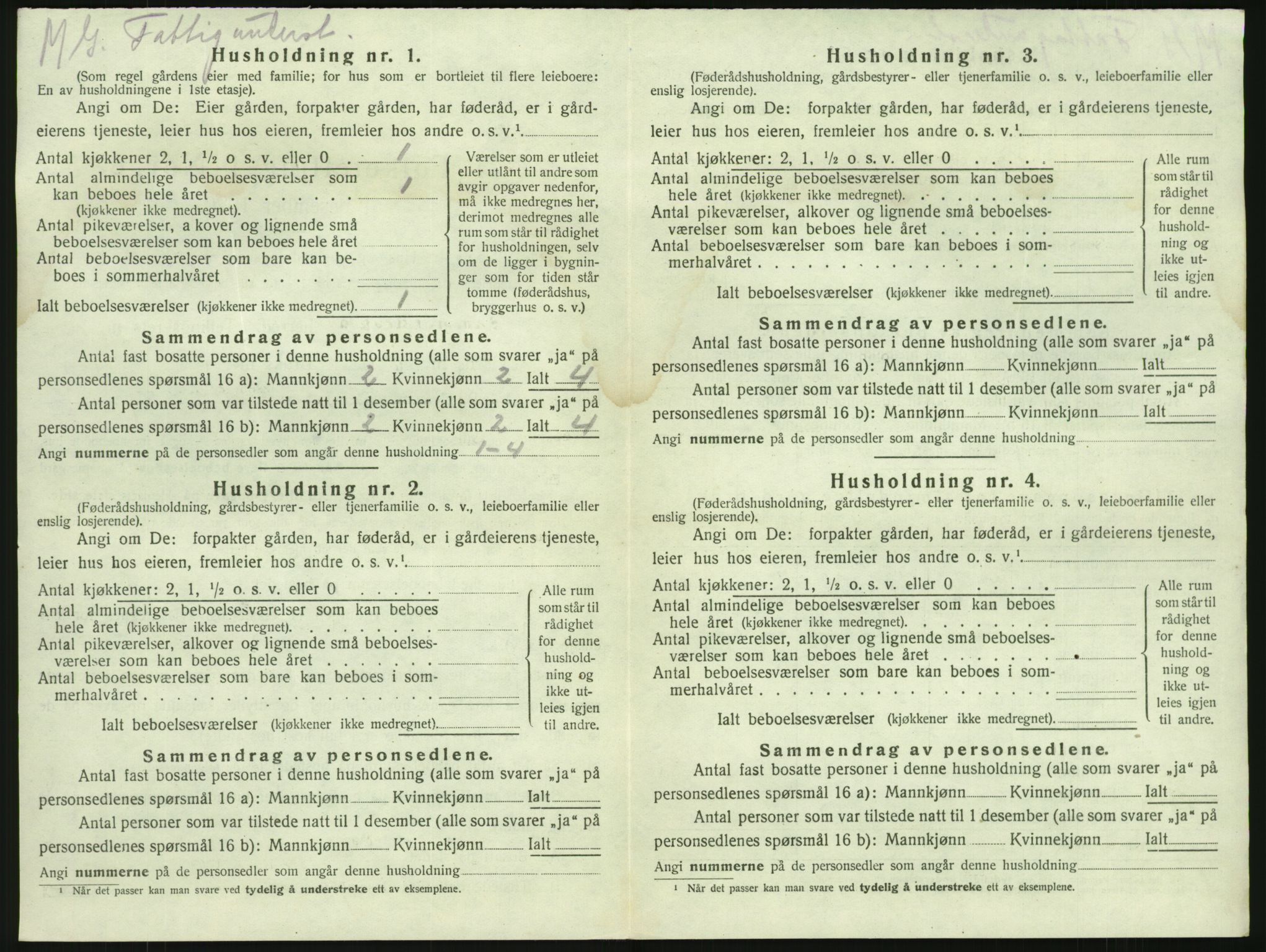 SAKO, 1920 census for Brunlanes, 1920, p. 920