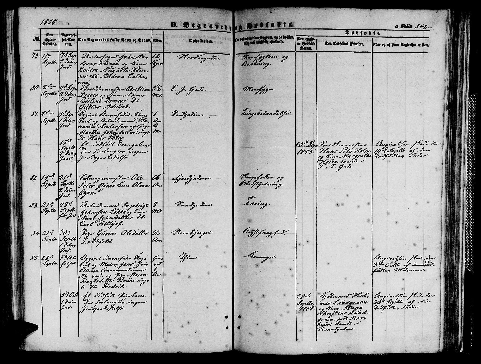 Ministerialprotokoller, klokkerbøker og fødselsregistre - Sør-Trøndelag, AV/SAT-A-1456/602/L0138: Parish register (copy) no. 602C06, 1853-1858, p. 248