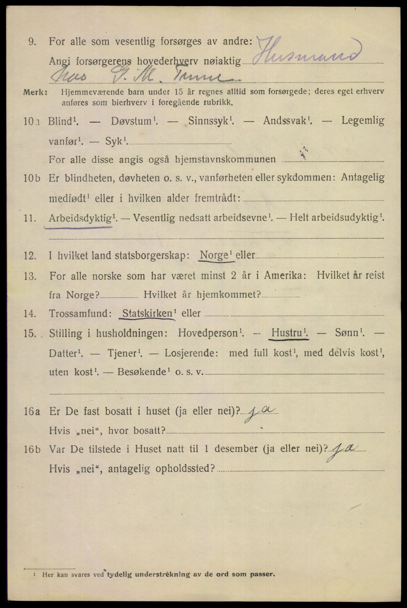 SAKO, 1920 census for Notodden, 1920, p. 15199