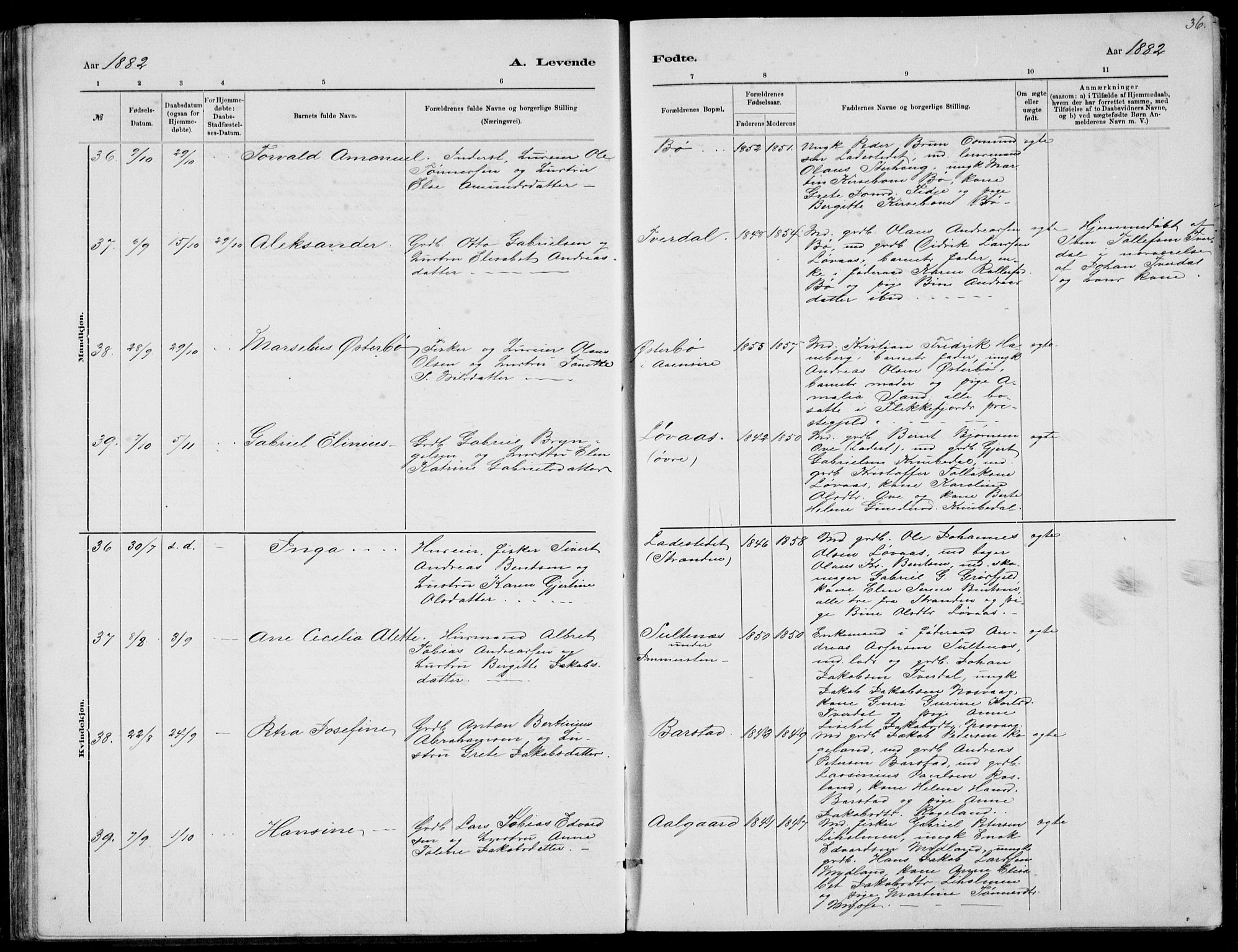 Sokndal sokneprestkontor, AV/SAST-A-101808: Parish register (copy) no. B 4, 1880-1891, p. 36