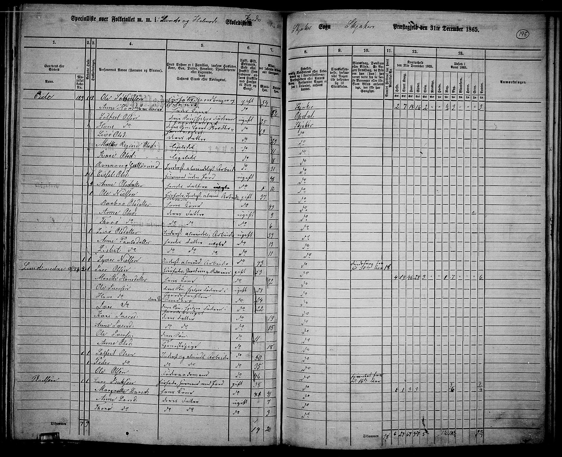 RA, 1865 census for Skjåk, 1865, p. 47