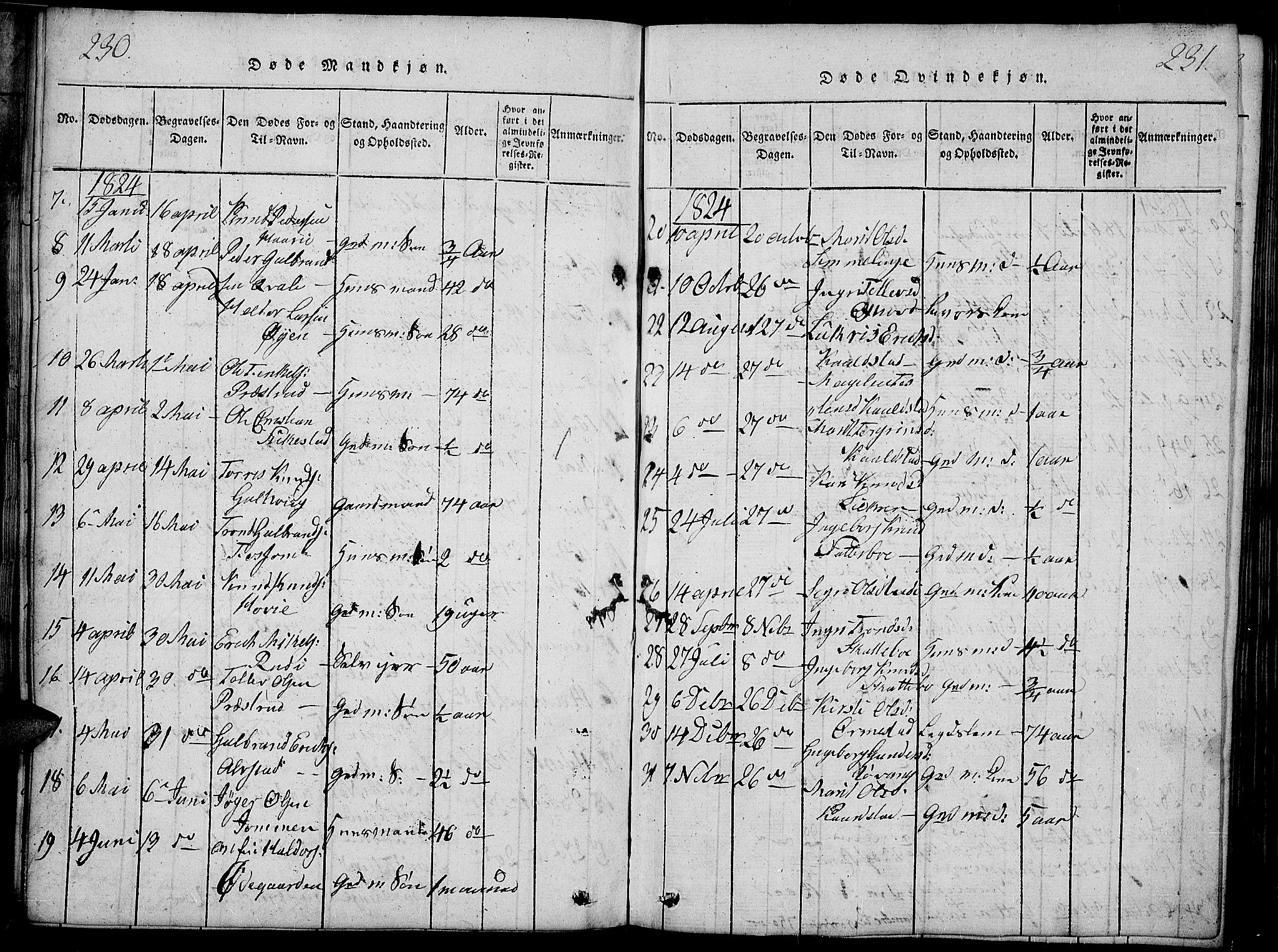 Slidre prestekontor, SAH/PREST-134/H/Ha/Haa/L0002: Parish register (official) no. 2, 1814-1830, p. 230-231