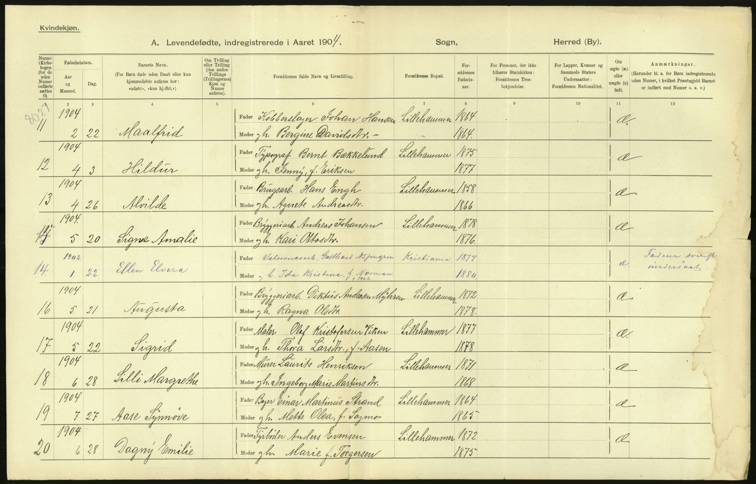 Statistisk sentralbyrå, Sosiodemografiske emner, Befolkning, AV/RA-S-2228/D/Df/Dfa/Dfab/L0006: Kristians amt: Fødte, gifte, døde, 1904, p. 864